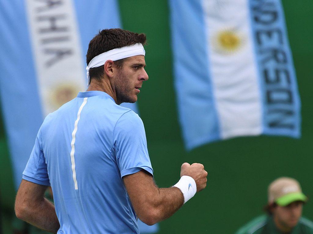Juan Martin del Potro continues to thrive after his early upset