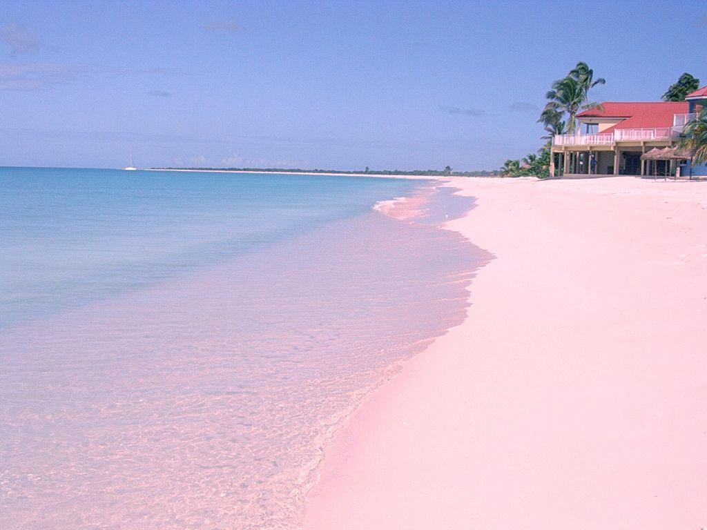 The pink sand at Low Bay, Barbuda. Description