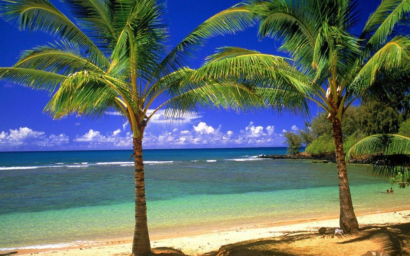 Sand Tag wallpaper: Beach Shell Sand Amber Gold HD