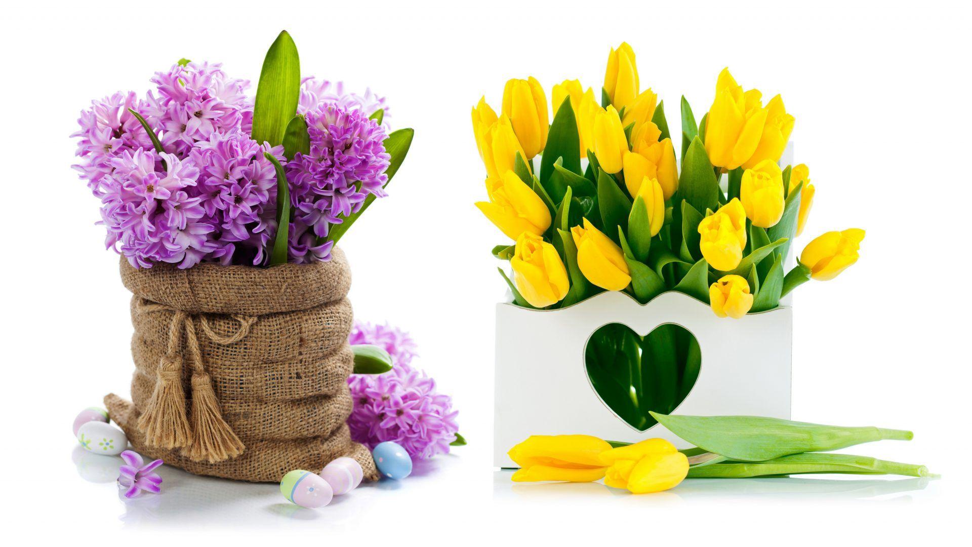 Hyacinth Tag wallpaper: Flowers Hyacinth Yellow Spring Easter Lilac