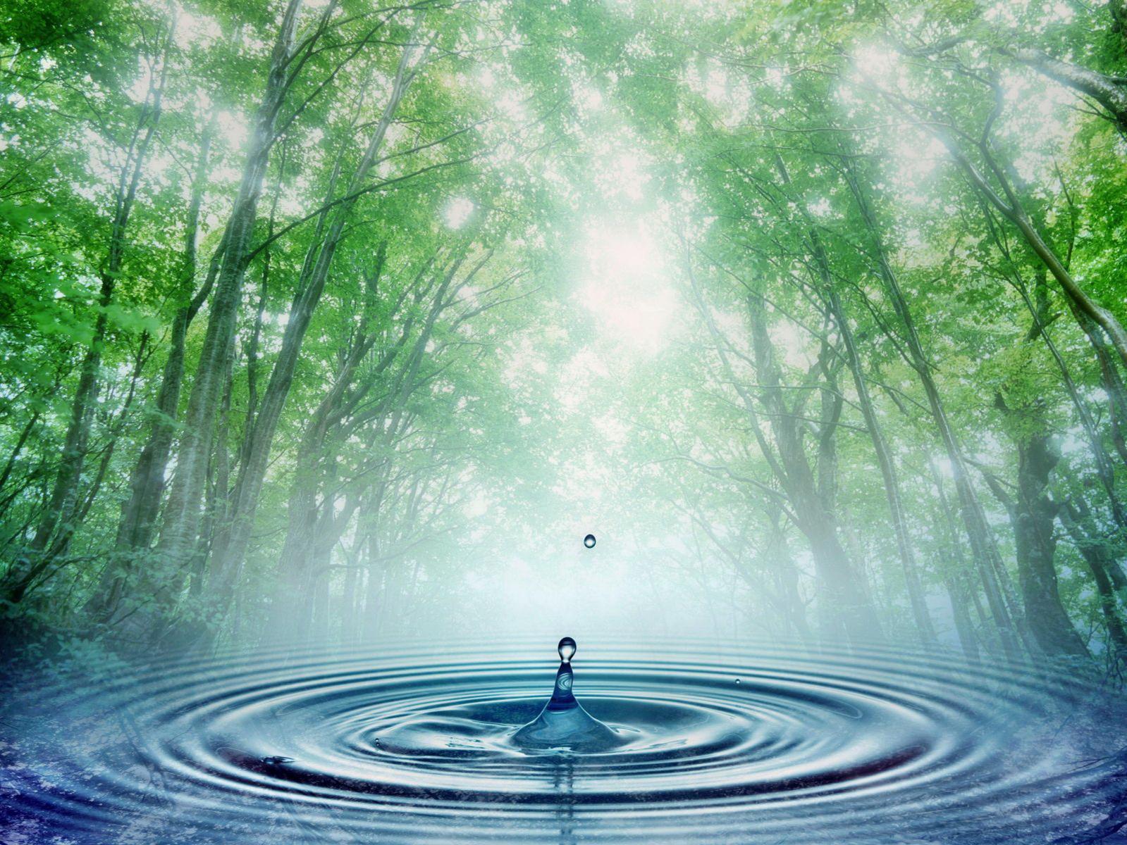 Wallpaper Water Cycle