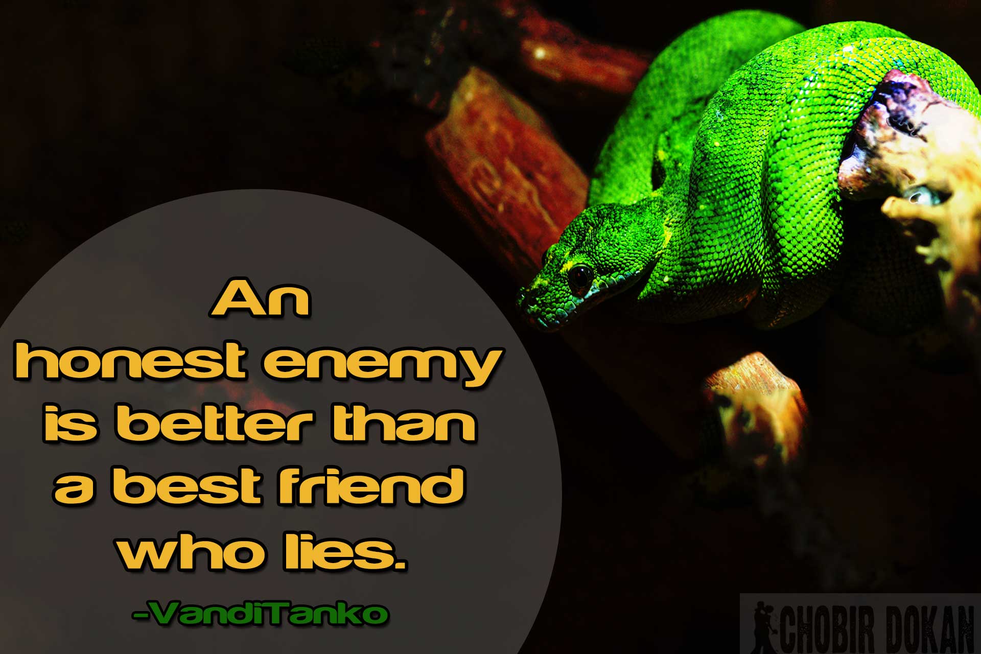 28+ Fake Friends Quotes Image for Facebook