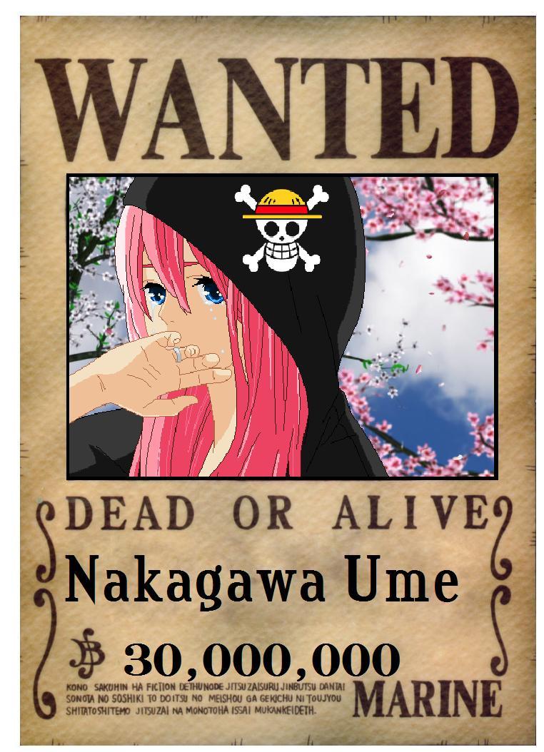 One piece: Ume's first wanted poster by monkeyking