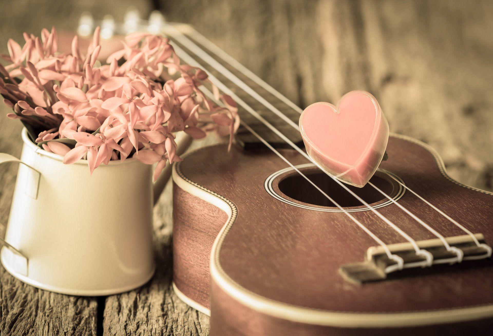 vintage love heart romantic heart ukulele flower HD wallpaper