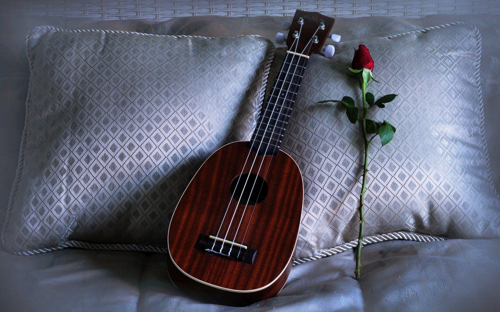 ukulele rose pillows love song HD wallpaper