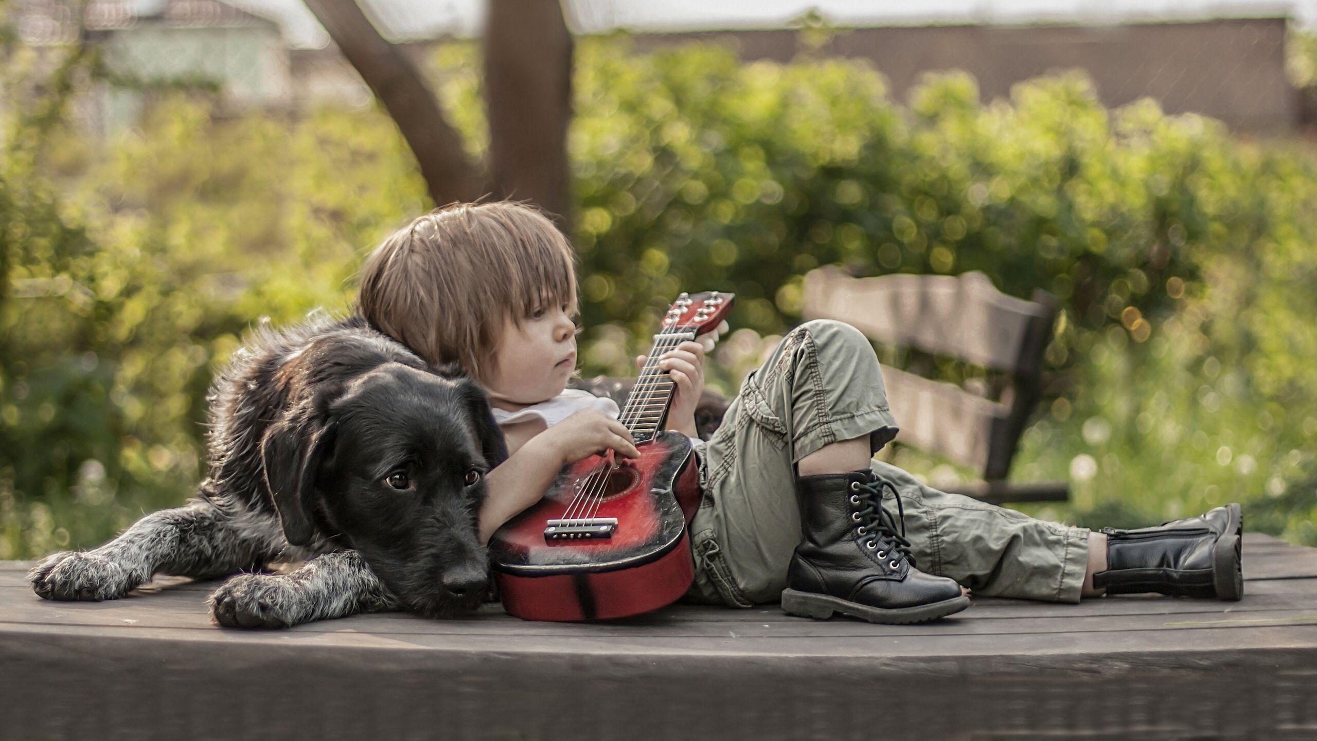 Musical Boy Playing The Ukulele Leaning On Labrador Dog