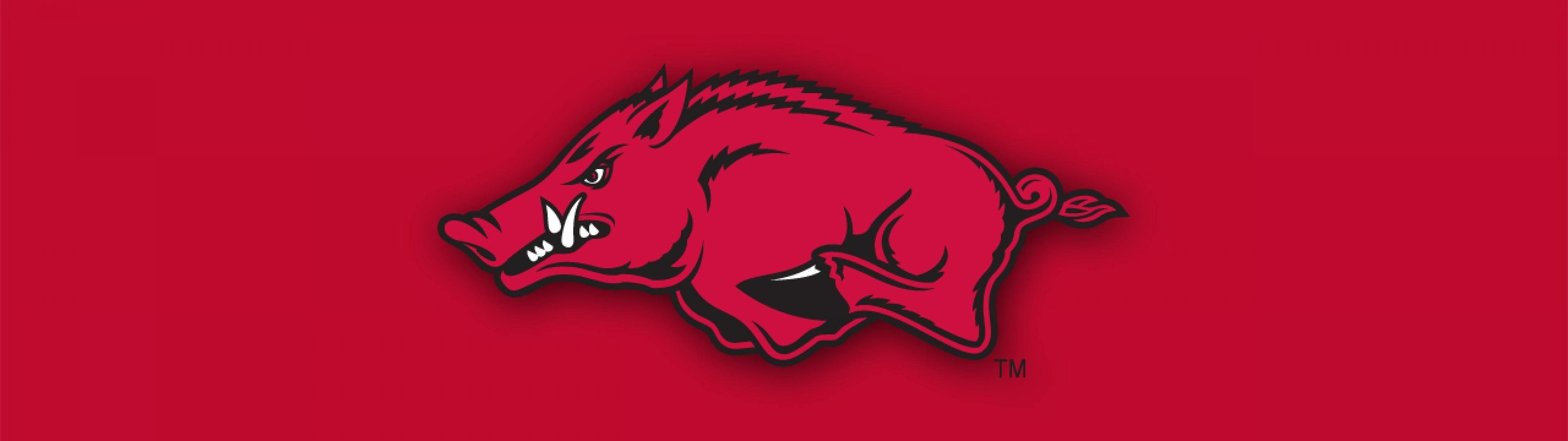 Download The Red and White of the Arkansas Razorbacks Wallpaper   Wallpaperscom