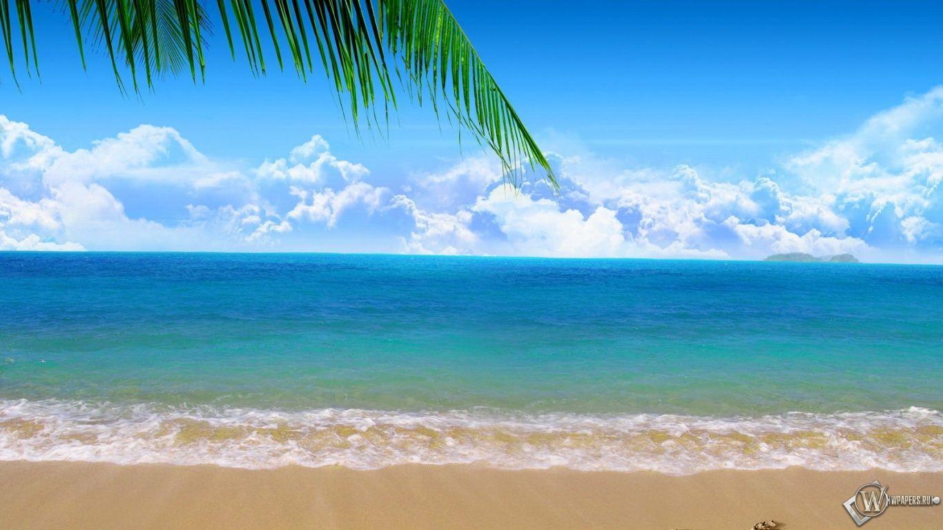 By Lachelle Mcduffee: Mare Wallpaper, 4000x2630