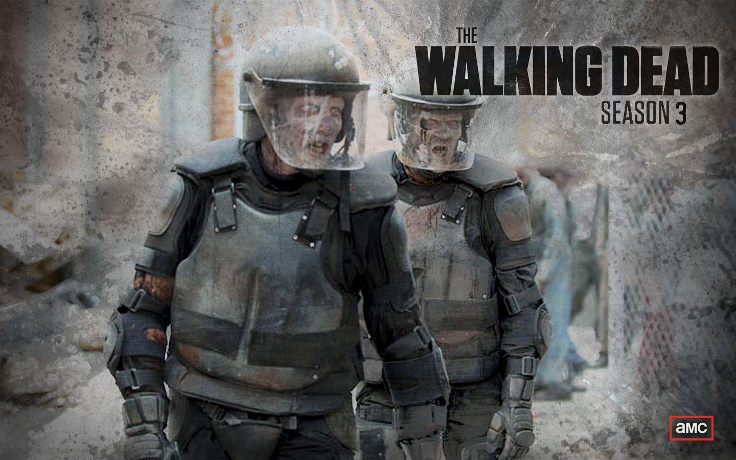 The Walking Dead Season 3 Wallpaper. Zombies