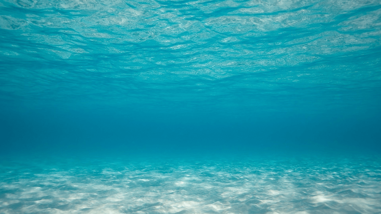 Underwater Ocean Bottom # 1280x720. All For Desktop