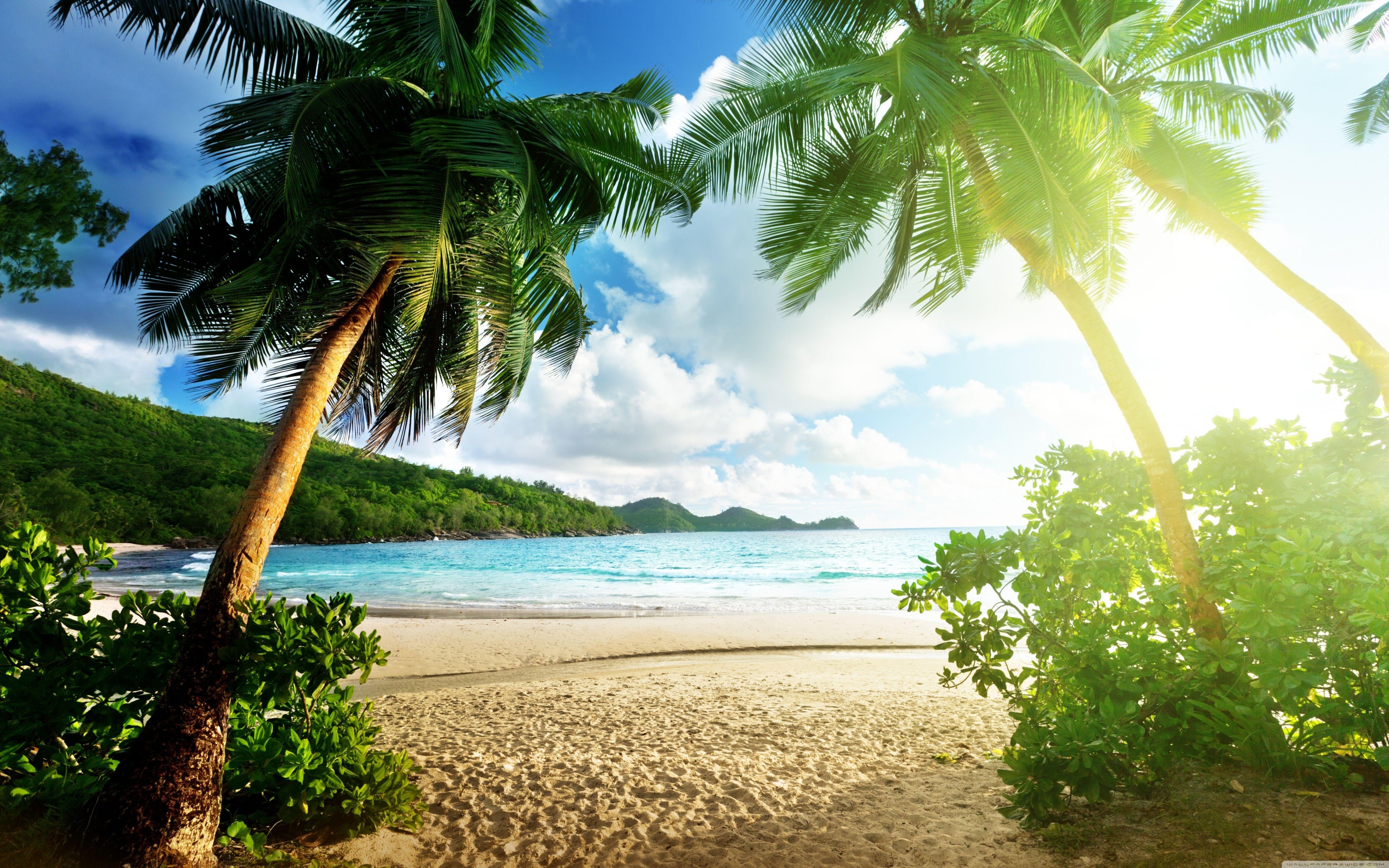 Exotic Island ❤ 4K HD Desktop Wallpaper for 4K Ultra HD TV • Wide