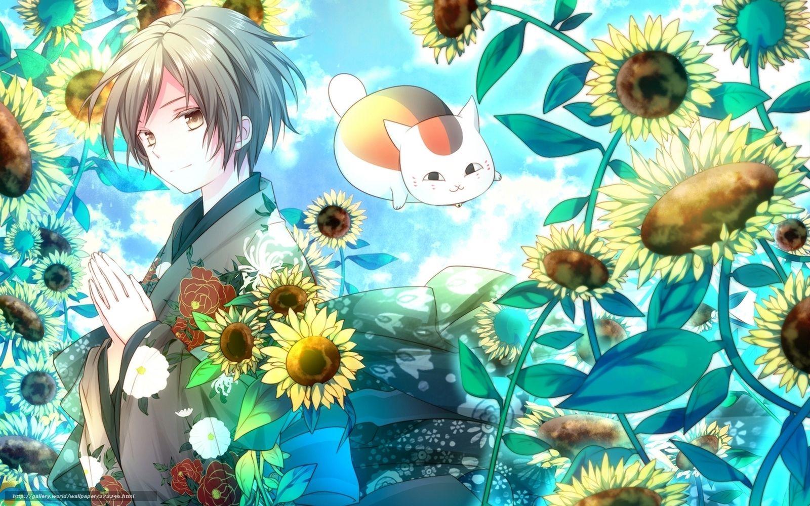 Download Wallpaper Anime, Natsume Book Of Friendship, Nyako Sensei