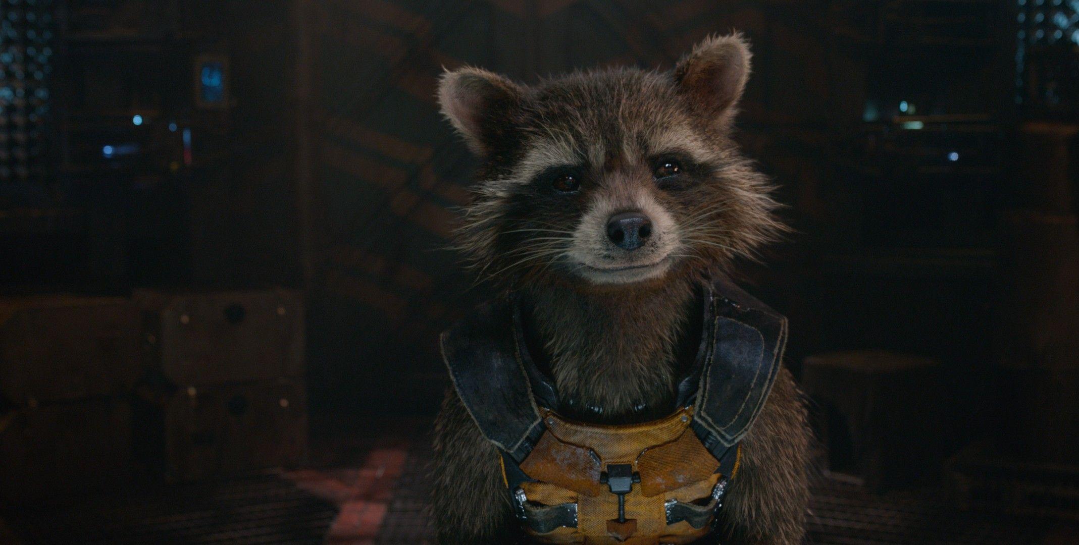 Rocket Raccoon Guardians Of The Galaxy. Movies HD 4k Wallpaper