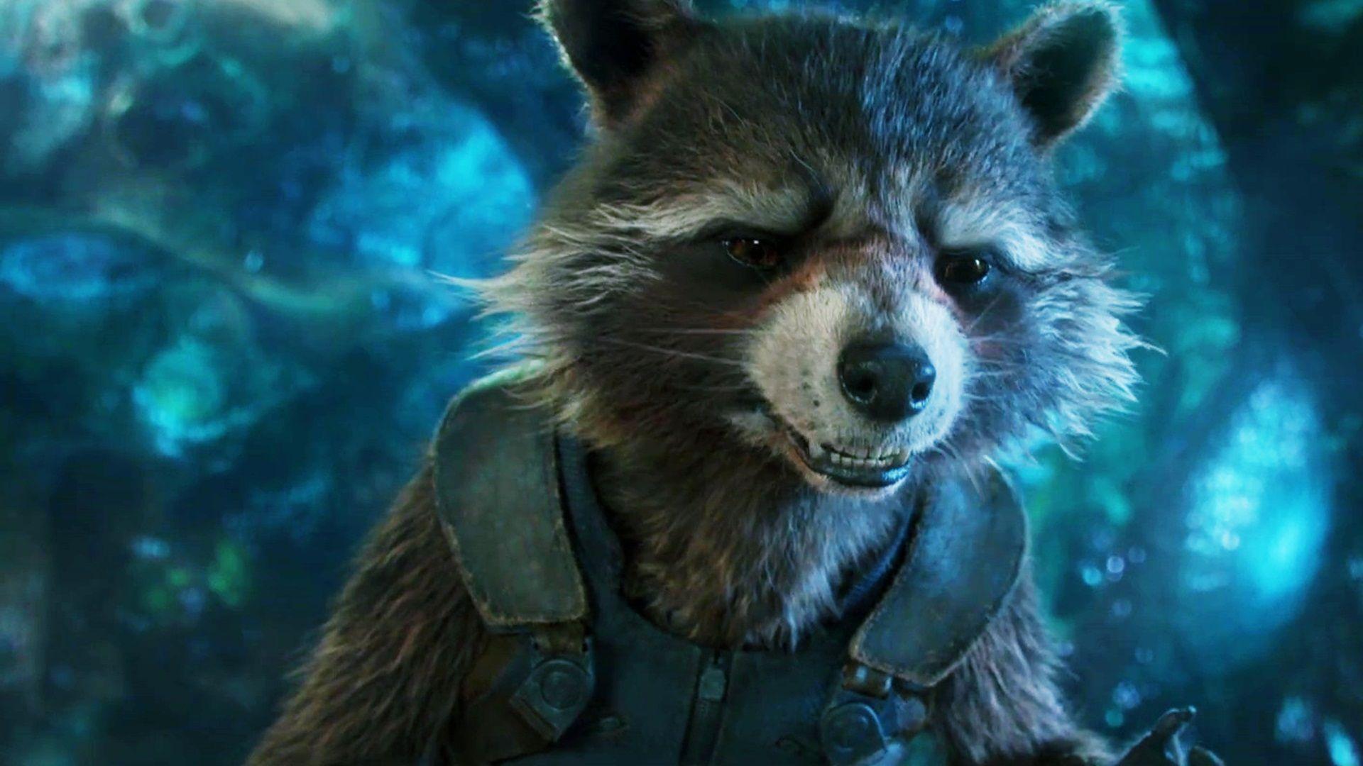 Guardians Of The Galaxy Vol. 2 Rocket Raccoon Funny Wallpaper