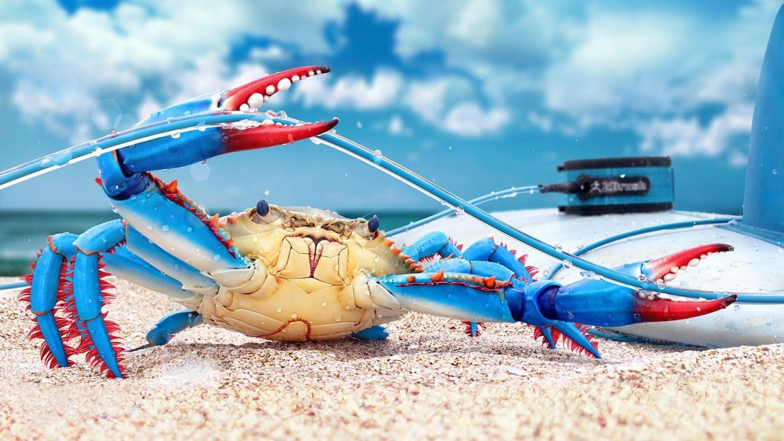 Crab Wallpaper Apps on Google Play