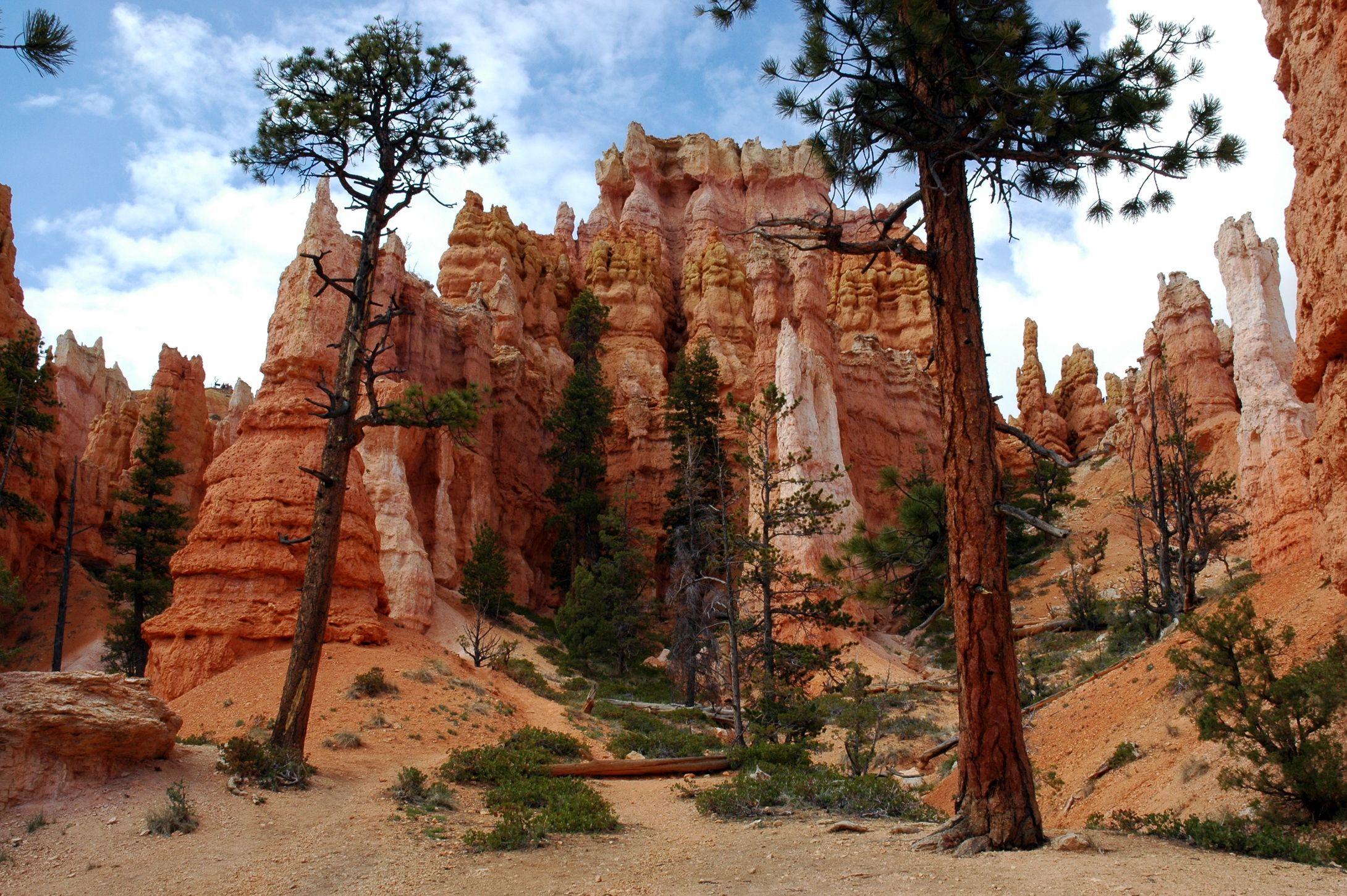 Bryce Canyon National Park Background → Earth Gallery