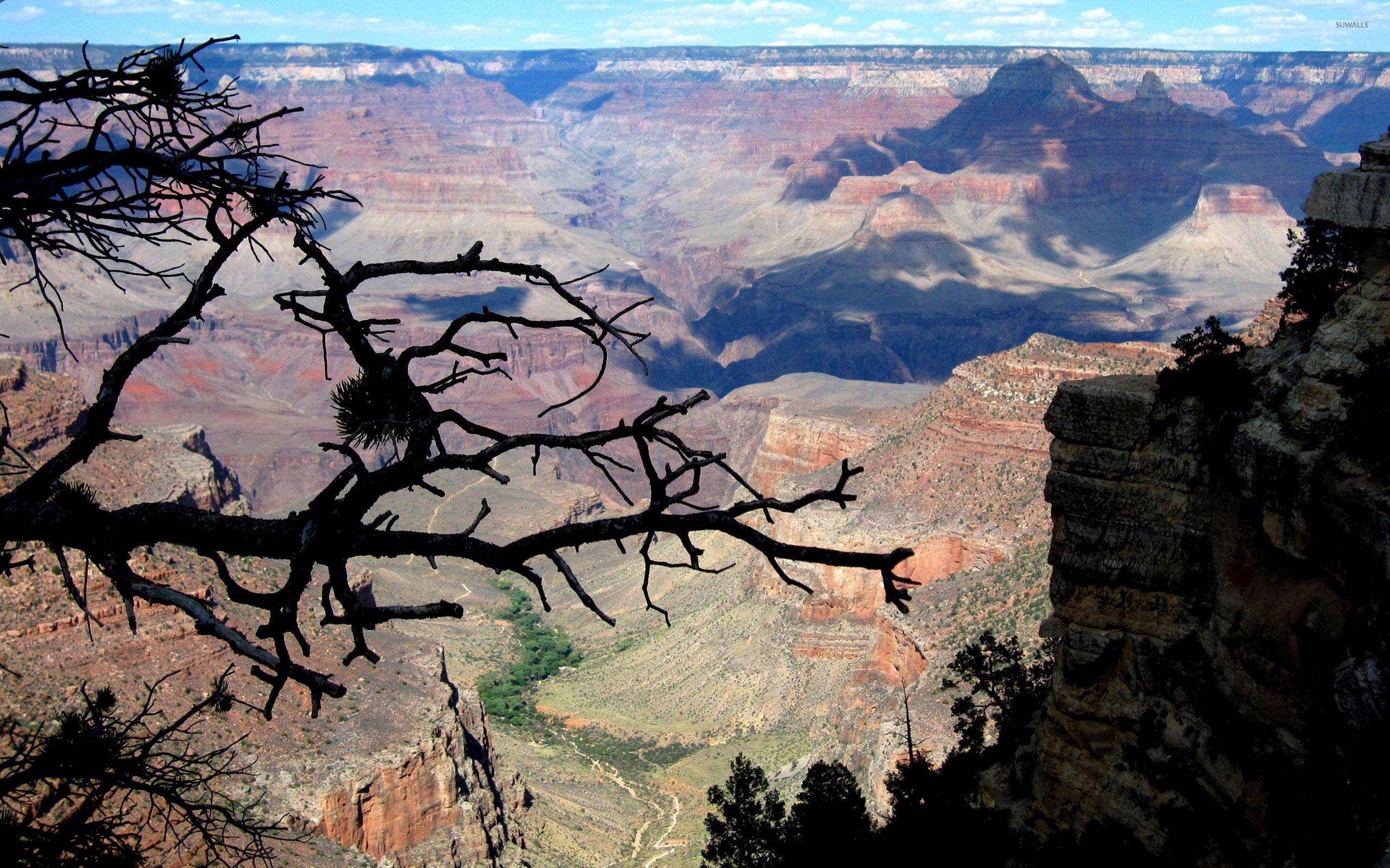 Bryce Canyon National Park [9] wallpaper wallpaper
