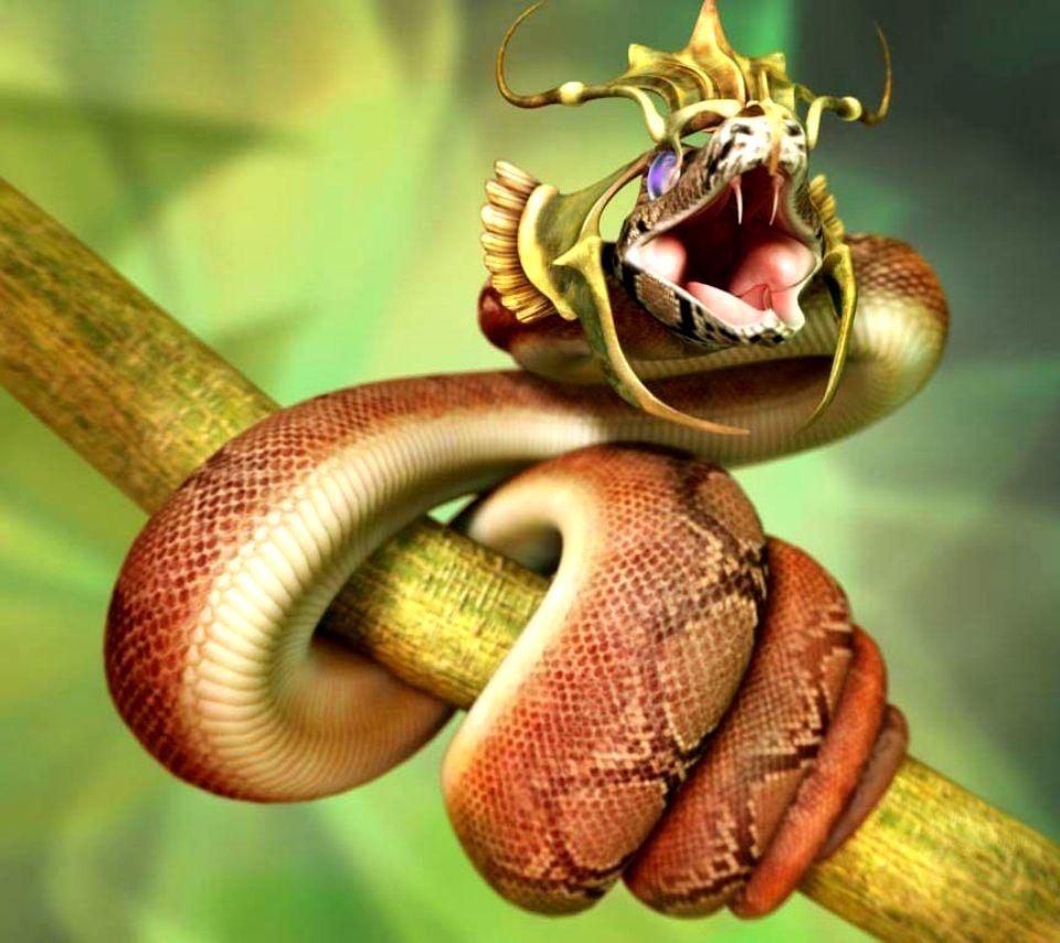 King Snake HD Picture, Fantastic Snake Wallpaper