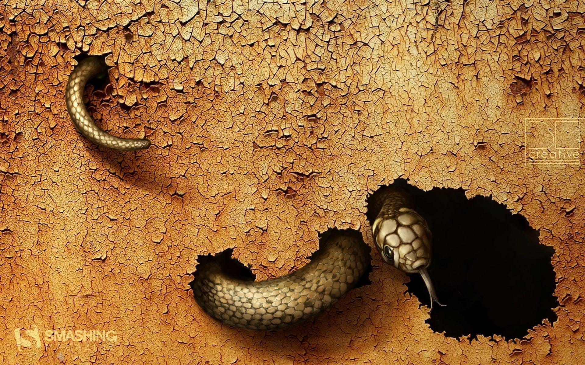 Dangerous Snake Wallpaper HD Wallpaper 1920×1200 Picture Of