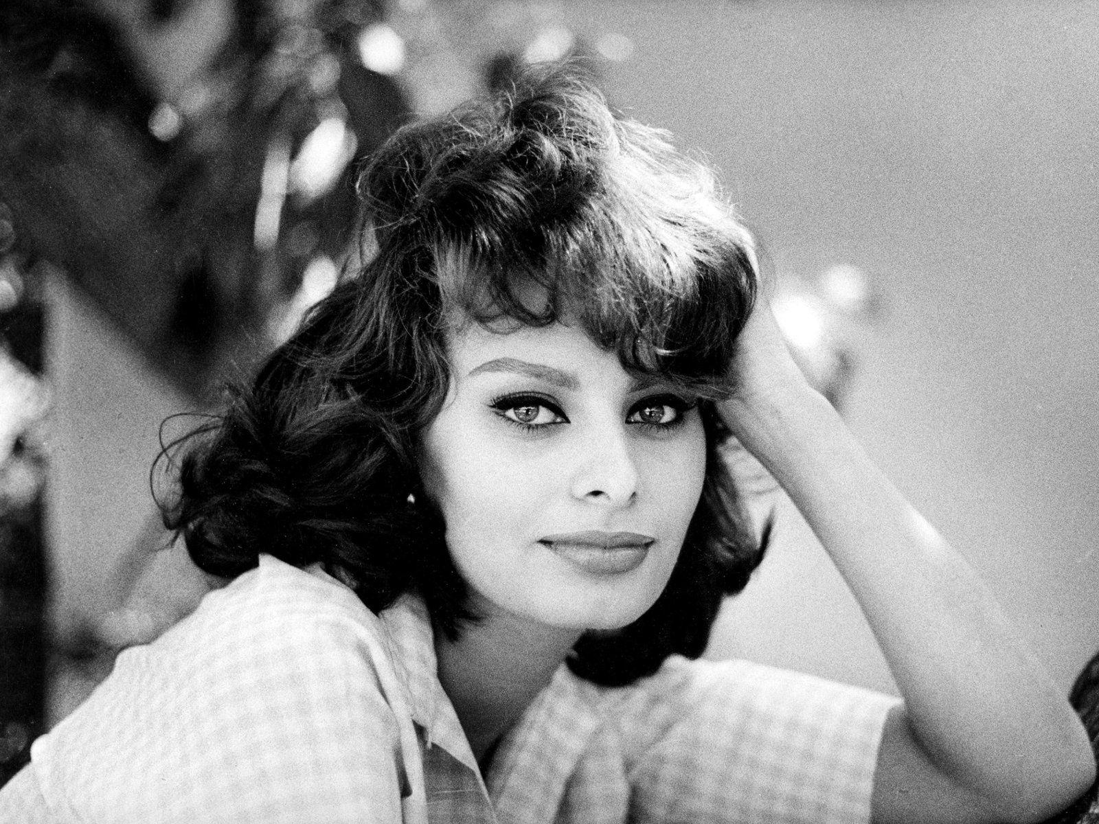 Sophia Loren. Full HD Widescreen wallpaper for desktop