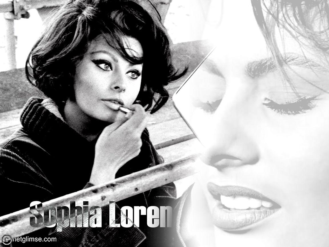 Sophia Loren wallpaperx864