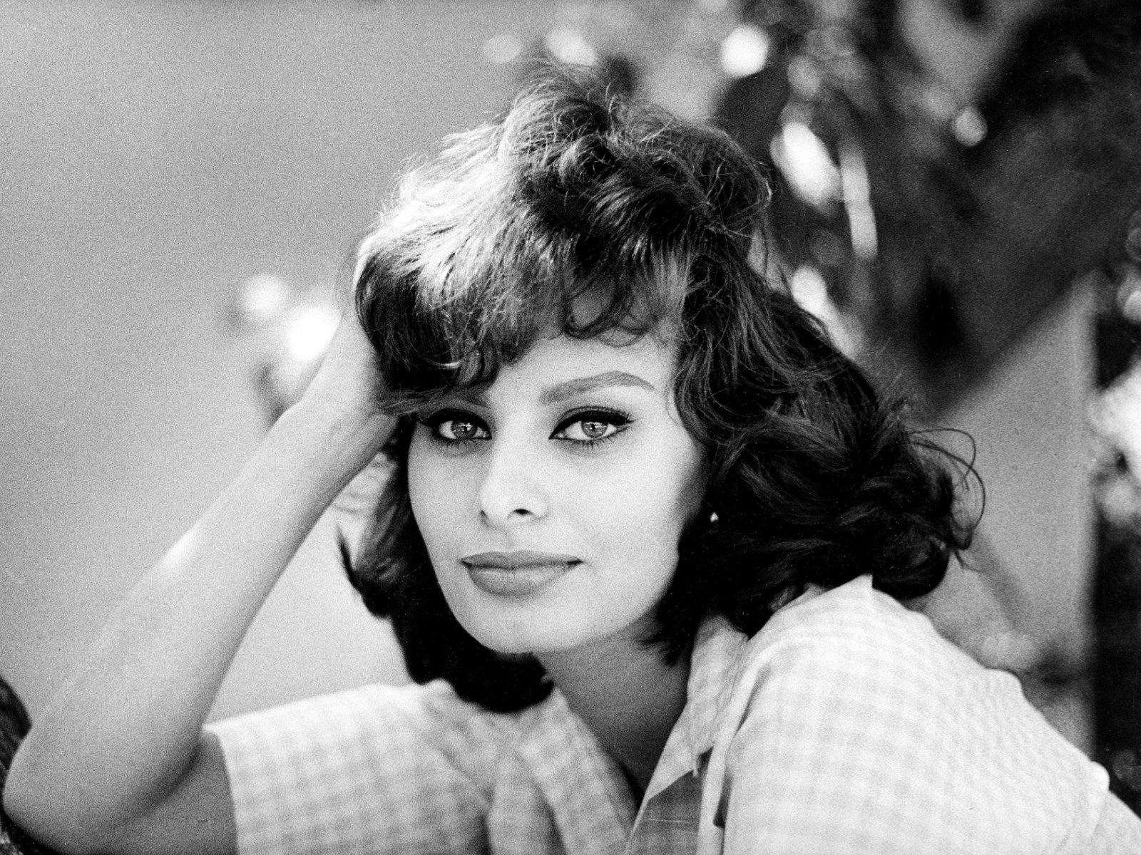 Sophia Loren Background HD Wallpaper Desktop Background