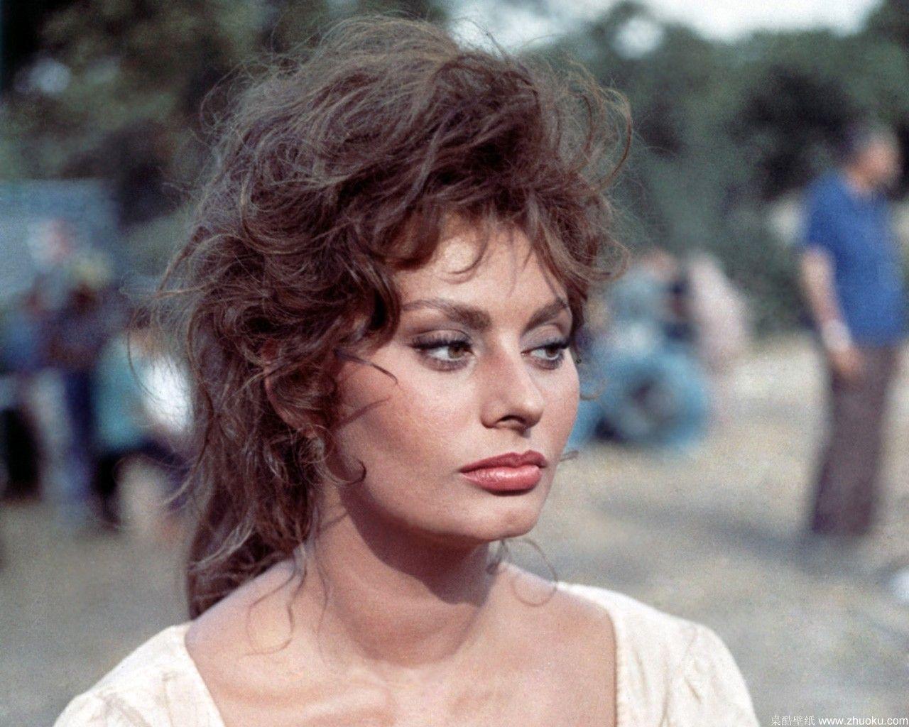Female Celebrity Sophia Loren HD Wallpaper