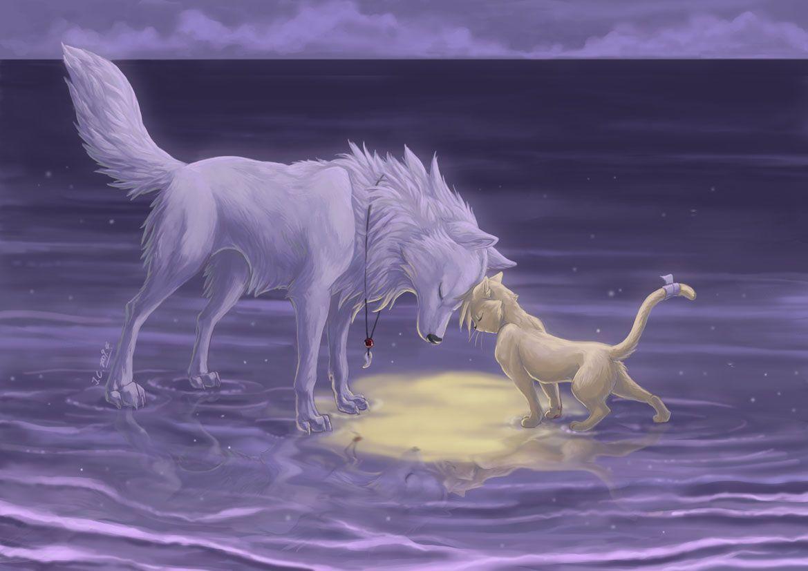 Wolf And Cat Wallpaper | PixLith