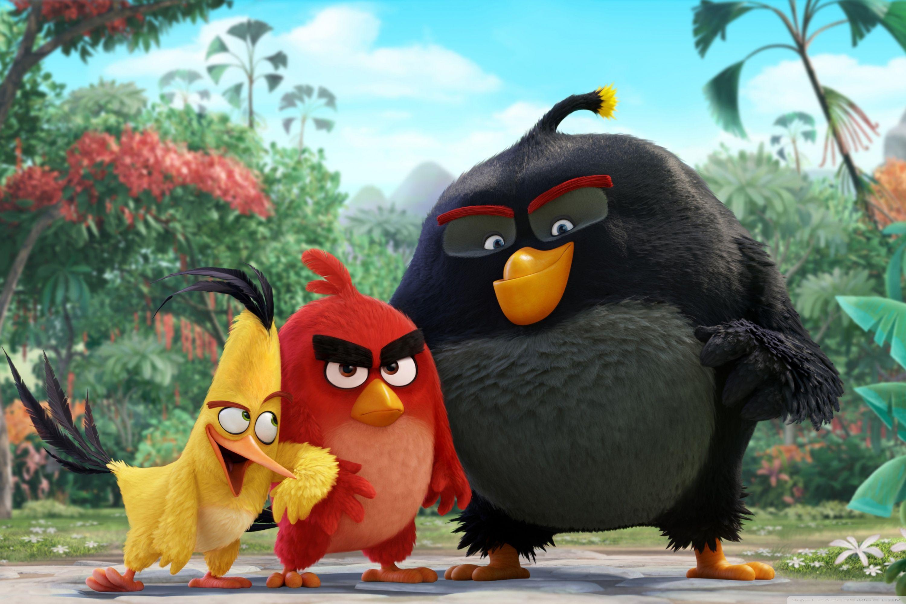 Angry Birds Movie 2016 ❤ 4K HD Desktop Wallpaper for 4K