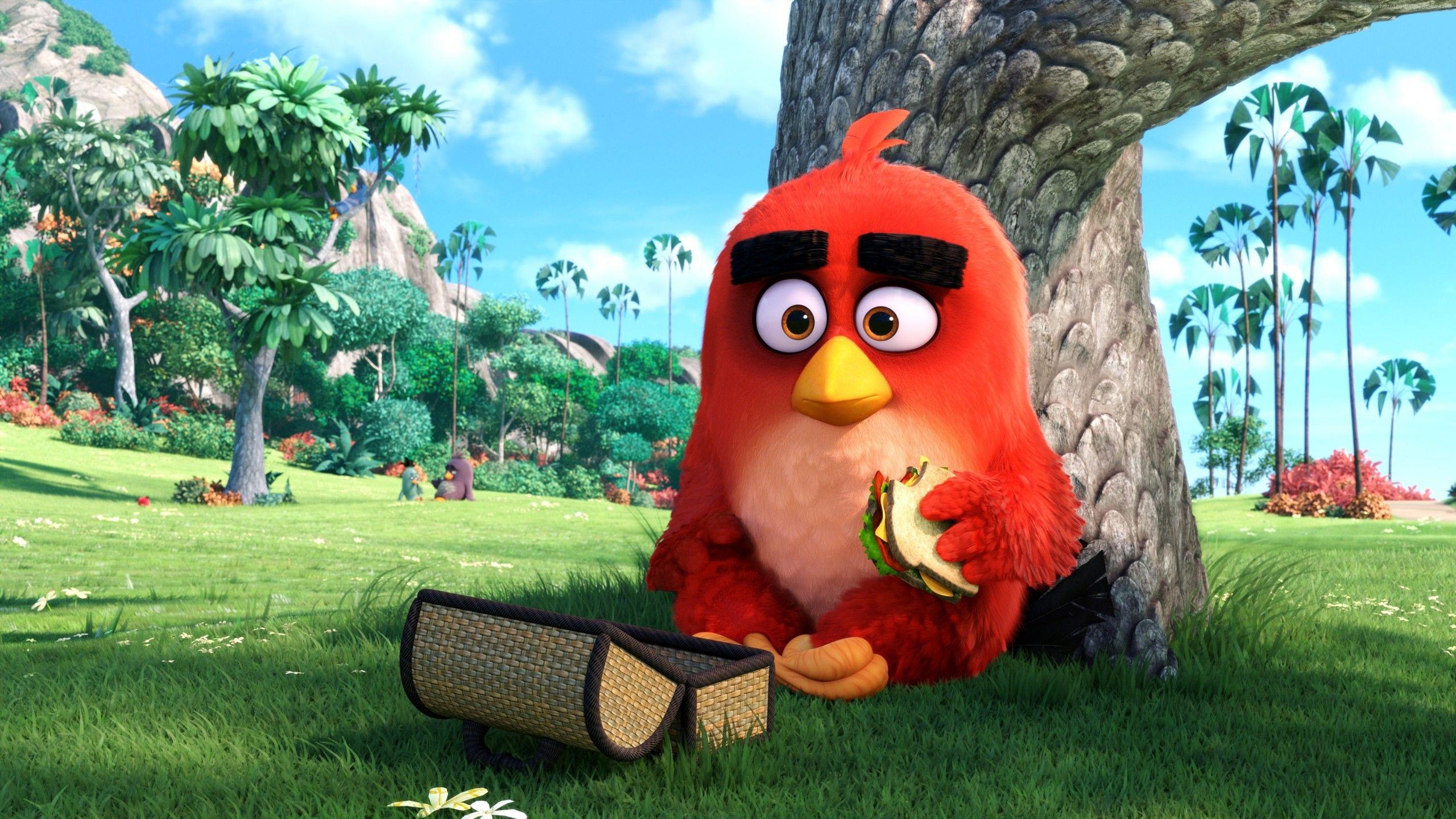 Wallpaper Red, Angry Birds, 4K, Movies