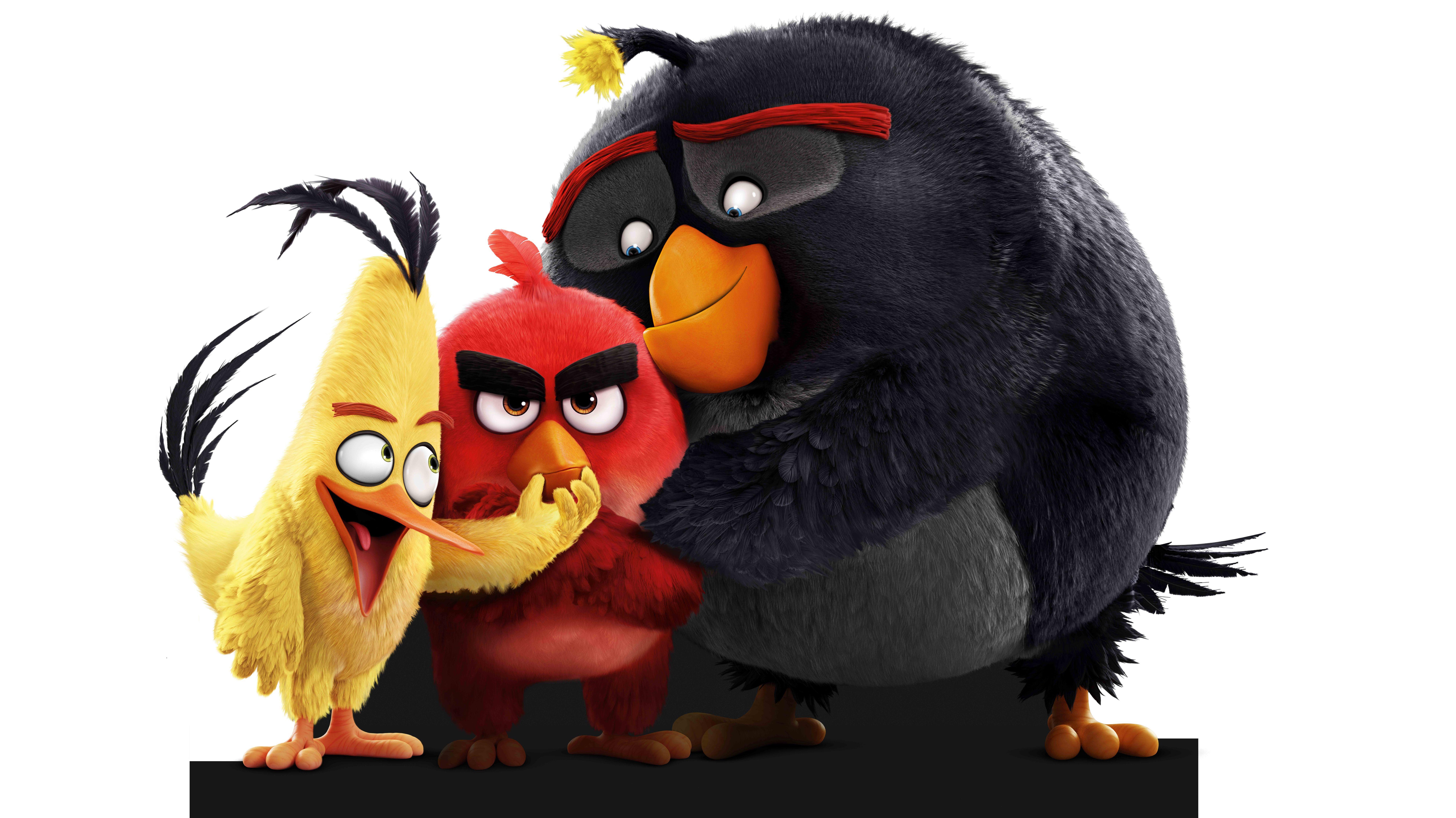 Wallpaper Angry Birds, Chuck, Red, Bomb, Animation, 8K, Movies