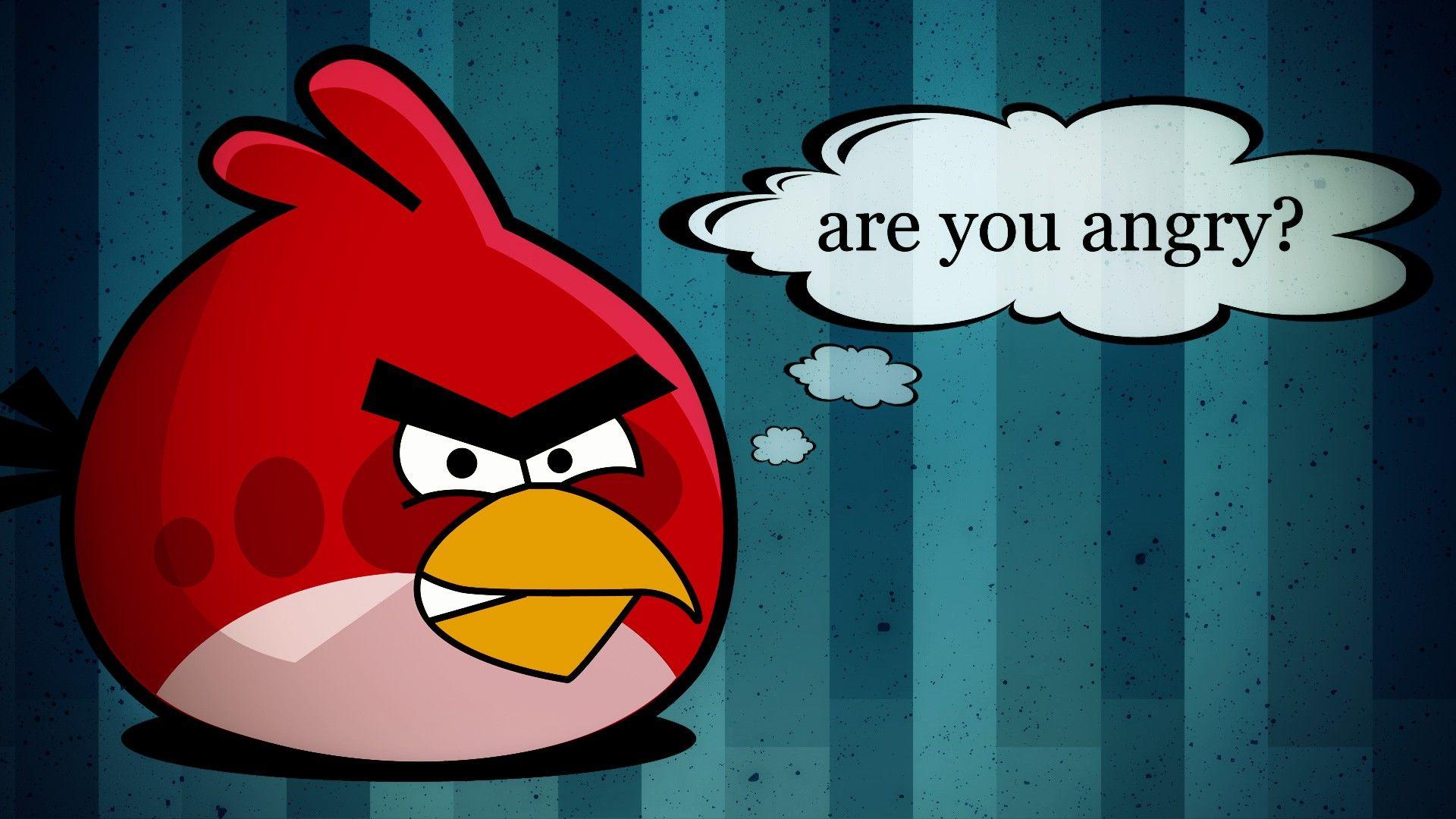 Angry Birds you angry? HD Wallpaper Birds Wallpaper