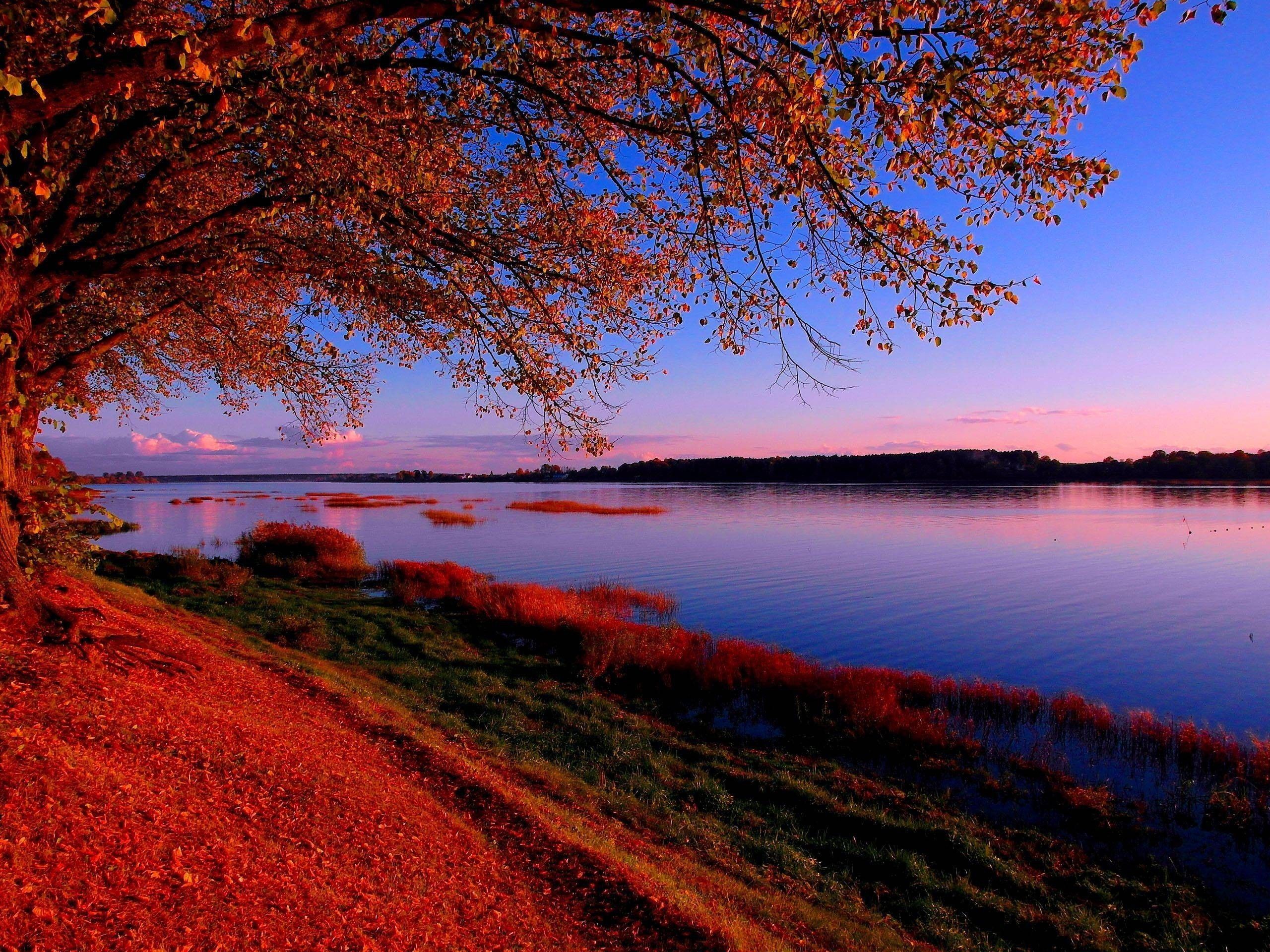 Lakes: Sunset October Riga Latvia Grass Lake Red Wallpaper for HD