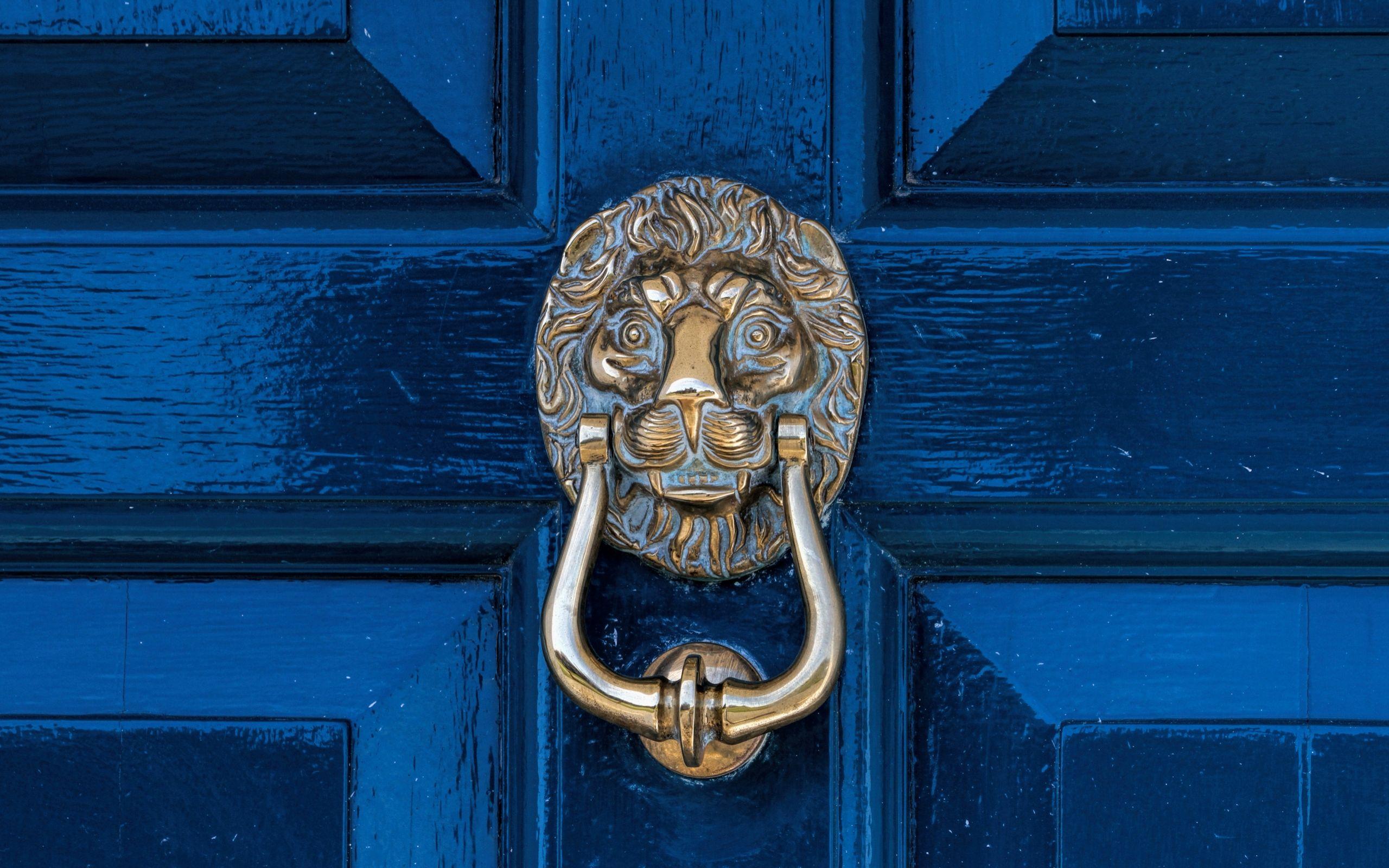 lion brass door knocker Full HD Wallpaper and Background