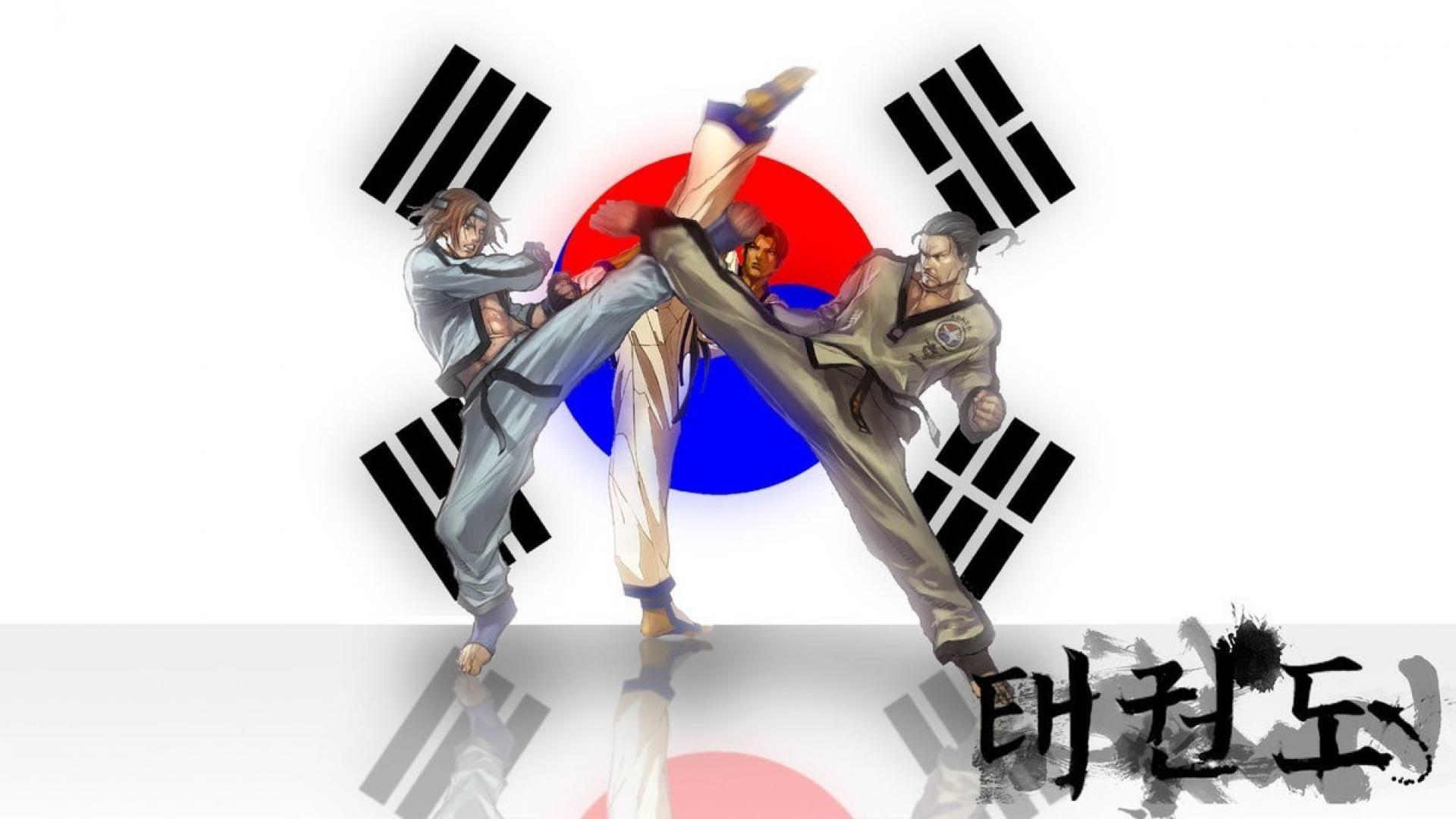 Taekwondo Desktop Wallpaper