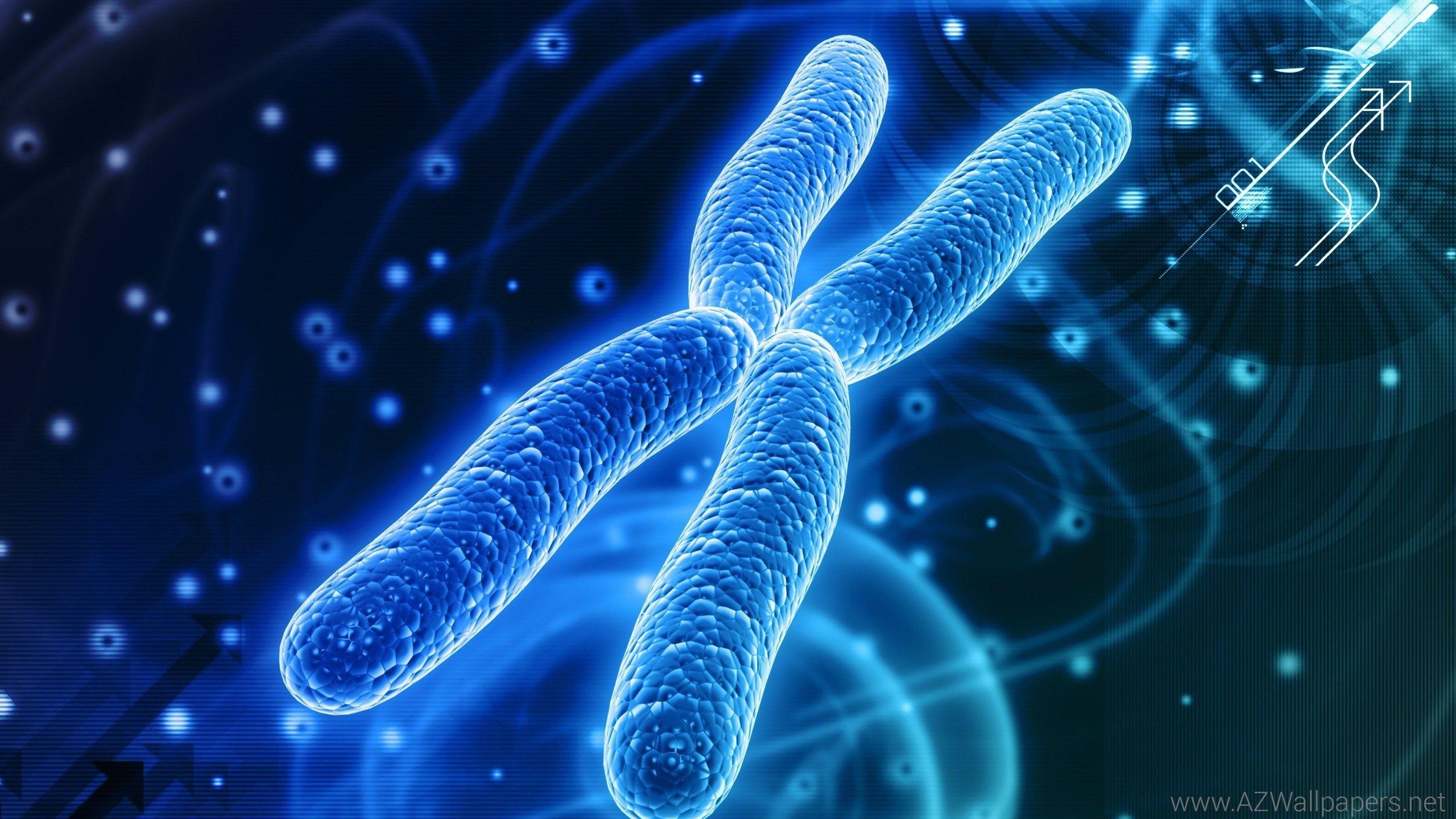 Chromosome Dna Pattern Genetic 3 d Psychedelic Wallpaper
