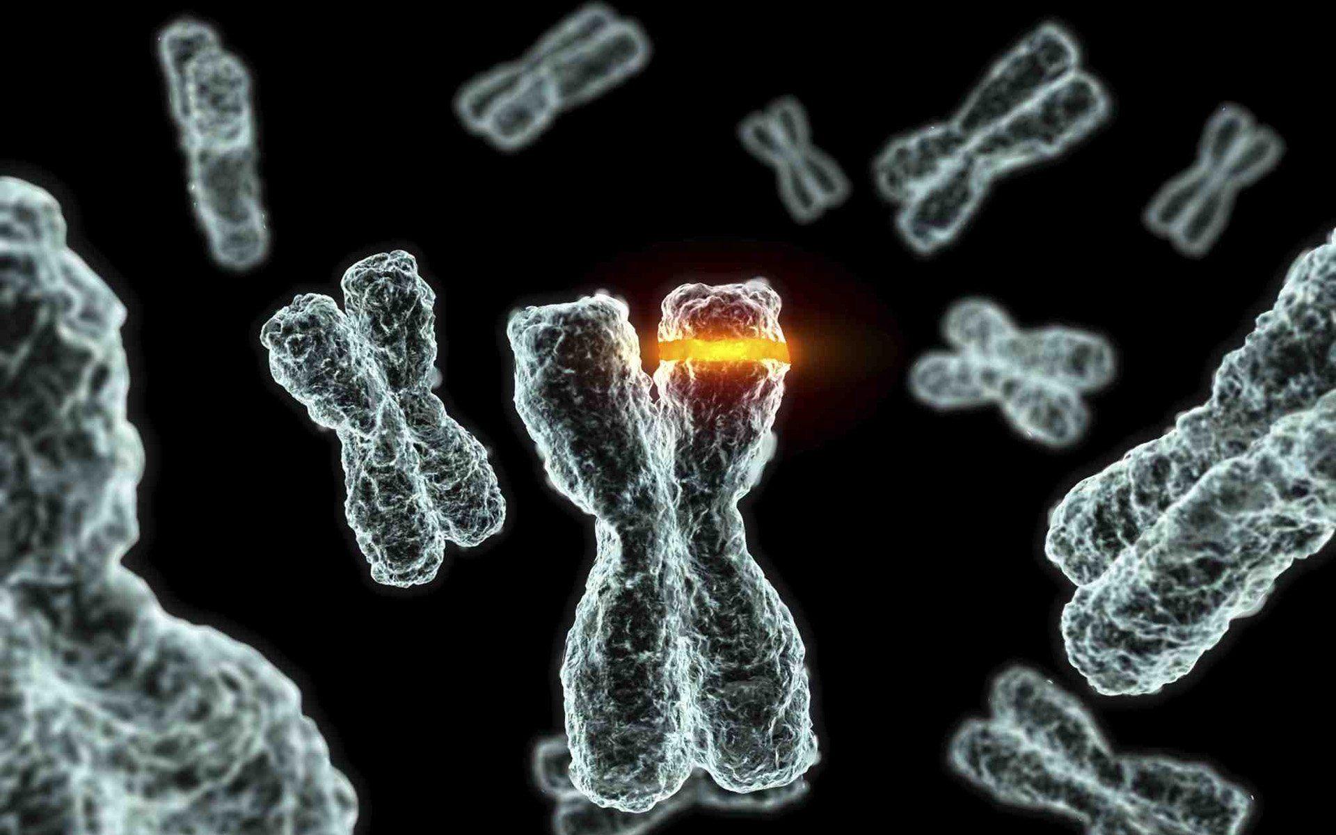 Chromosome Dna Pattern Genetic 3D Psychedelic Wallpaper At 3D