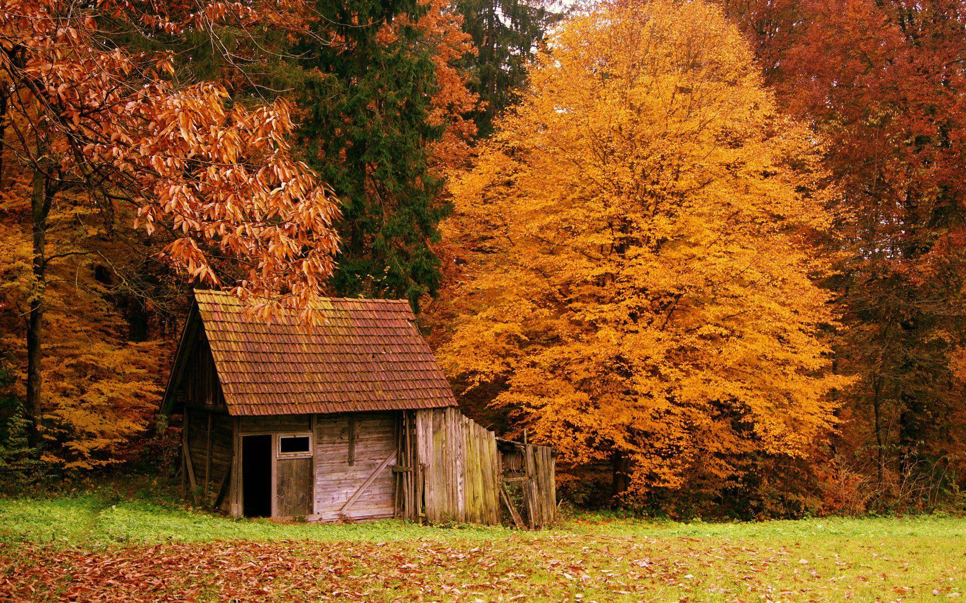 Cabin HD Wallpaper