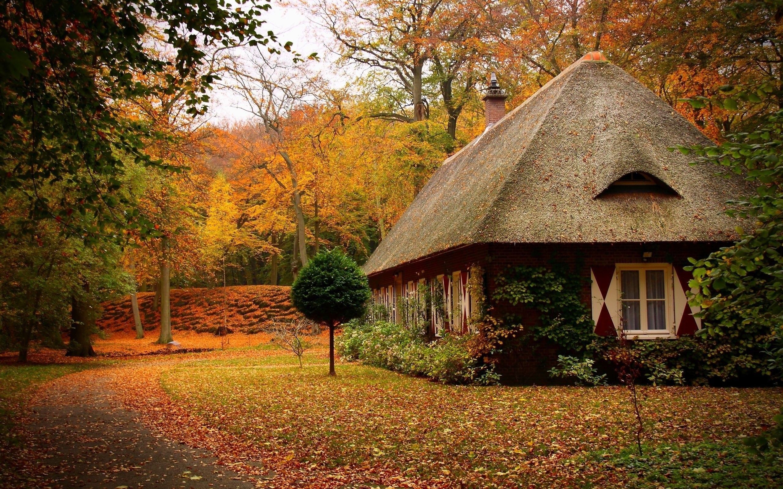 Wallpaper Cabins, Forest, Autumn, House, Landscape HD, Picture, Image
