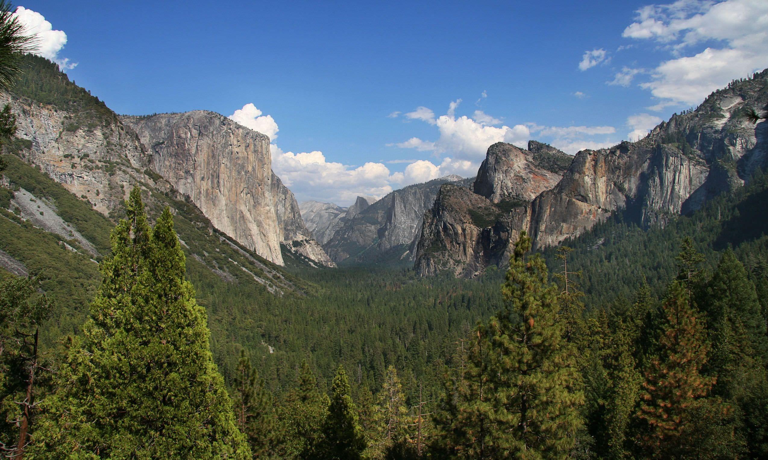 Sequoia National Park Wallpaper