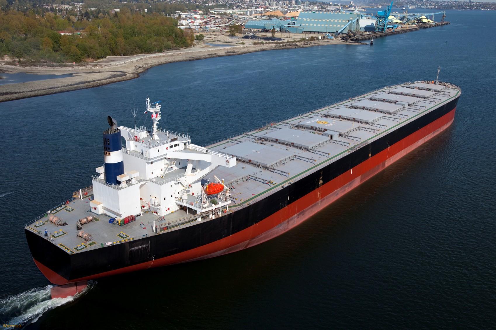 cargo bulk carrier ship