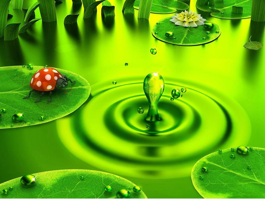 PC Wallpaper. ♲ green ♲. Wallpaper, Lady bugs