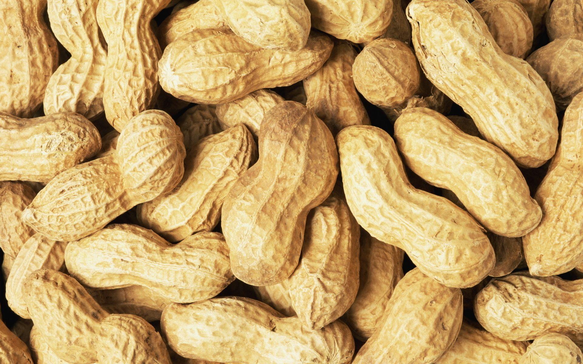 Peanut HD Wallpaper