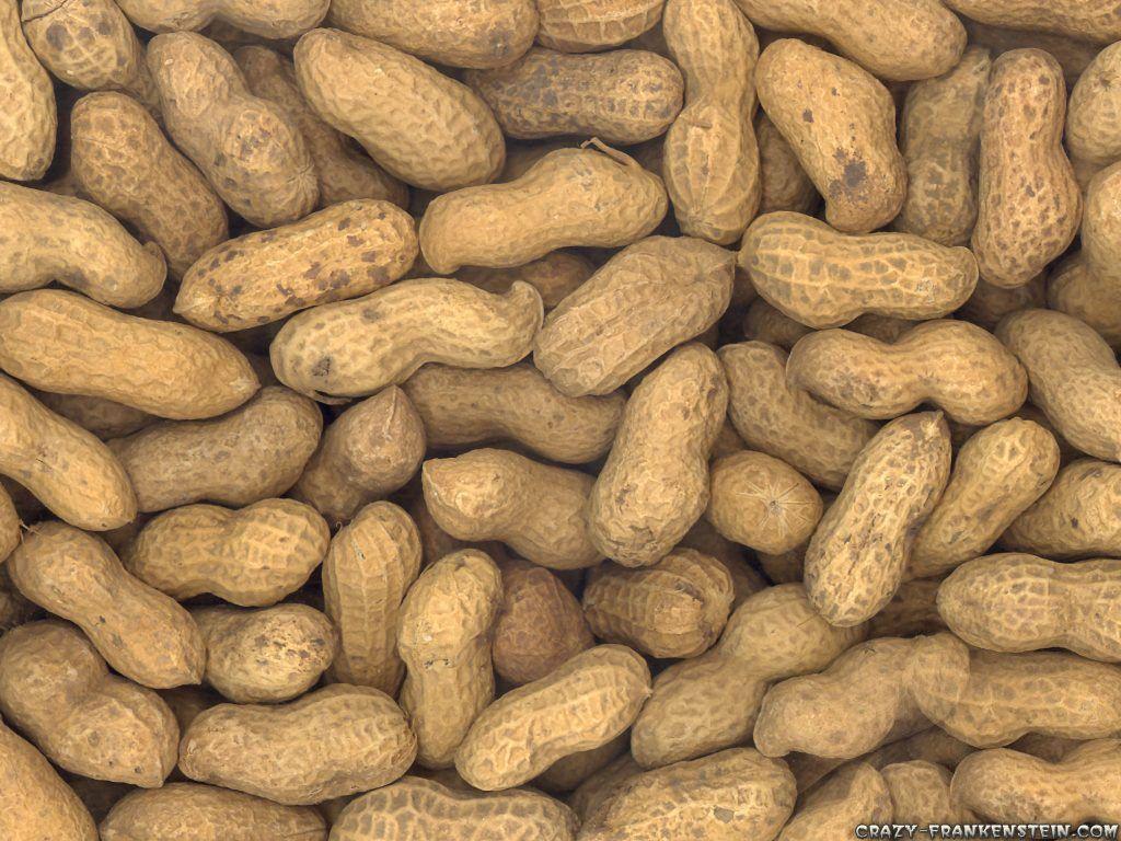 Peanut, High Definition Wallpaper For Free