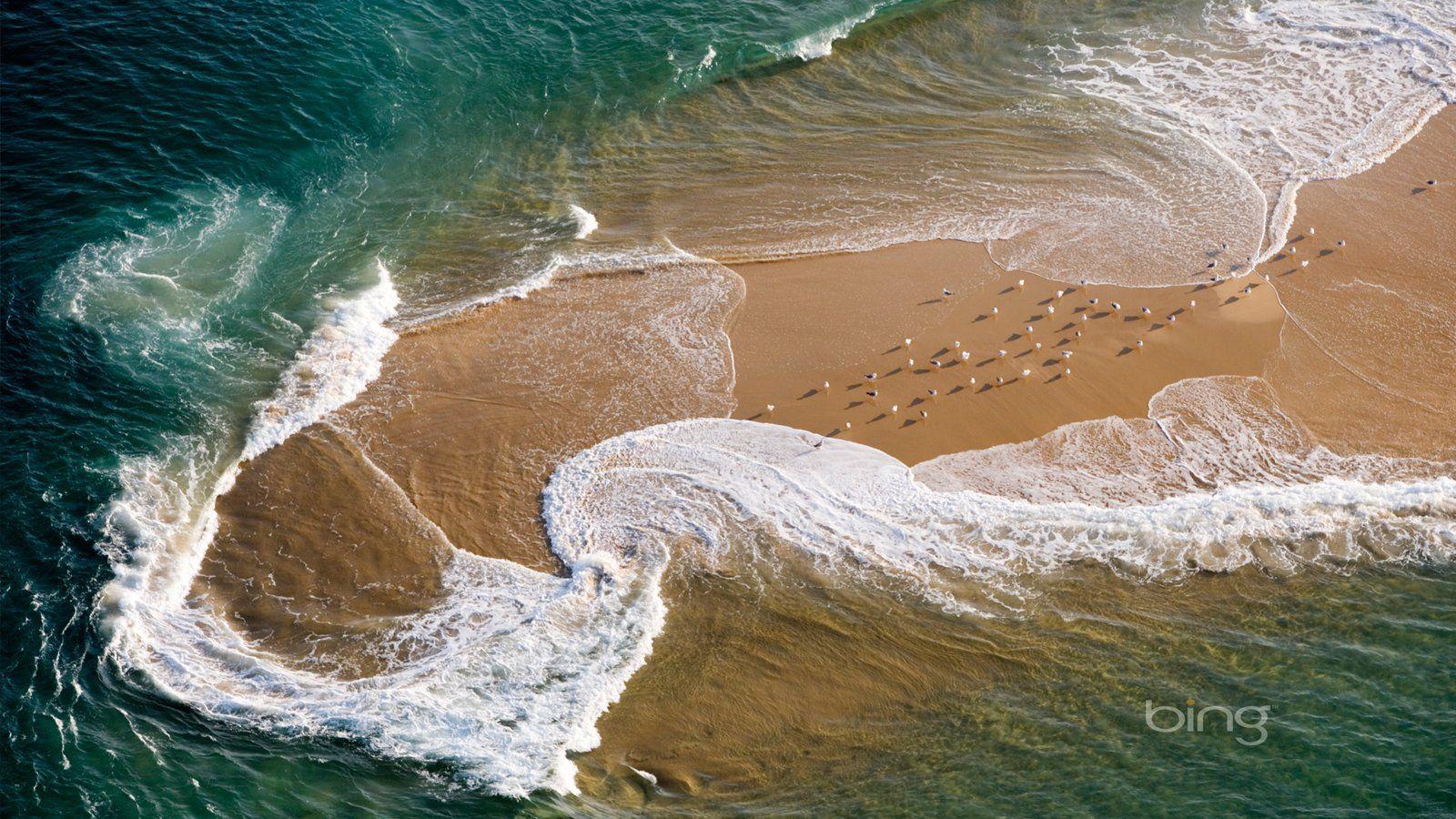 Seagull Reserve aerial France 19596 Wallpaper