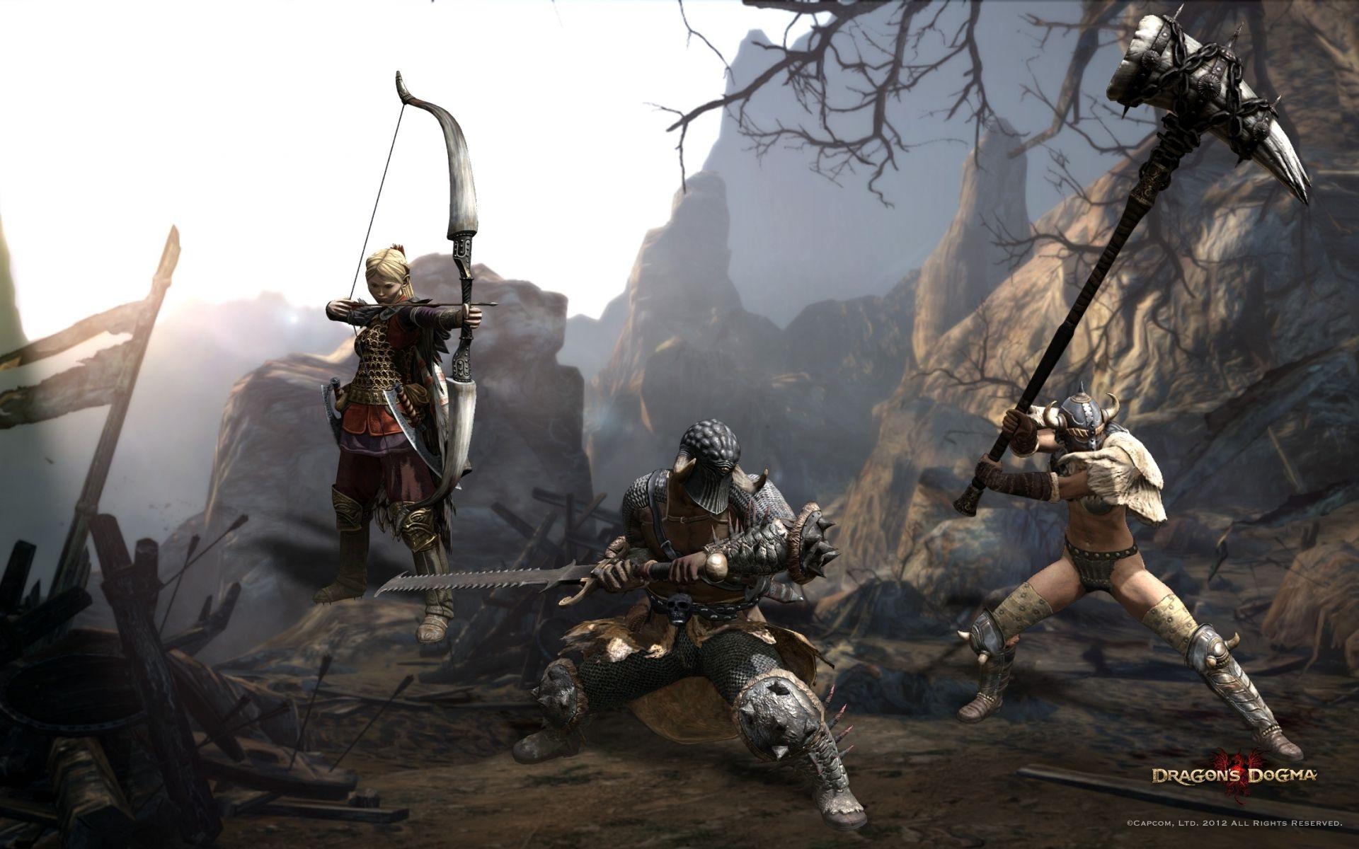 DRAGONS DOGMA fantasy game warrior h wallpaperx1200