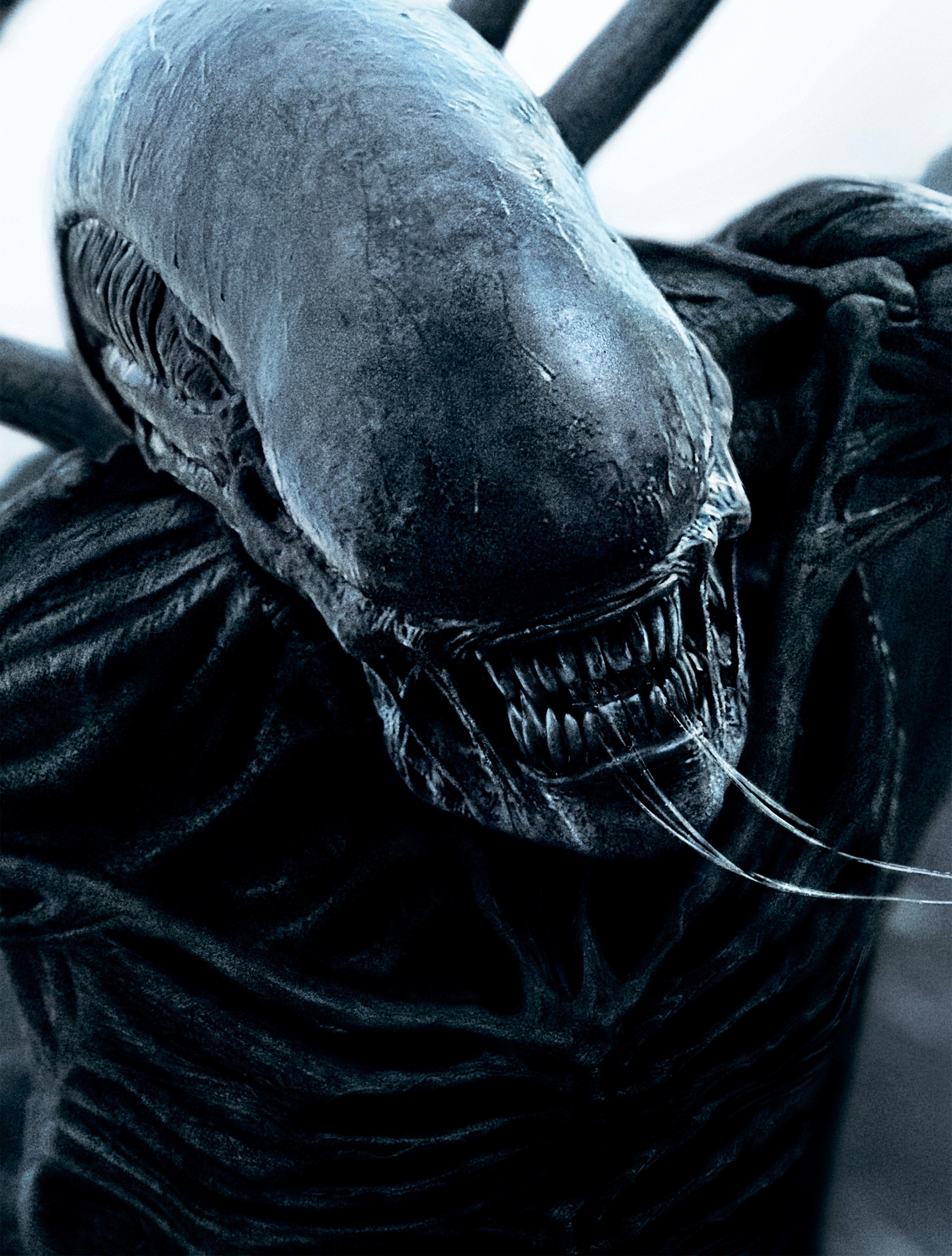Wallpaper Alien: Covenant, 4k, HD, alien, monster, best movies