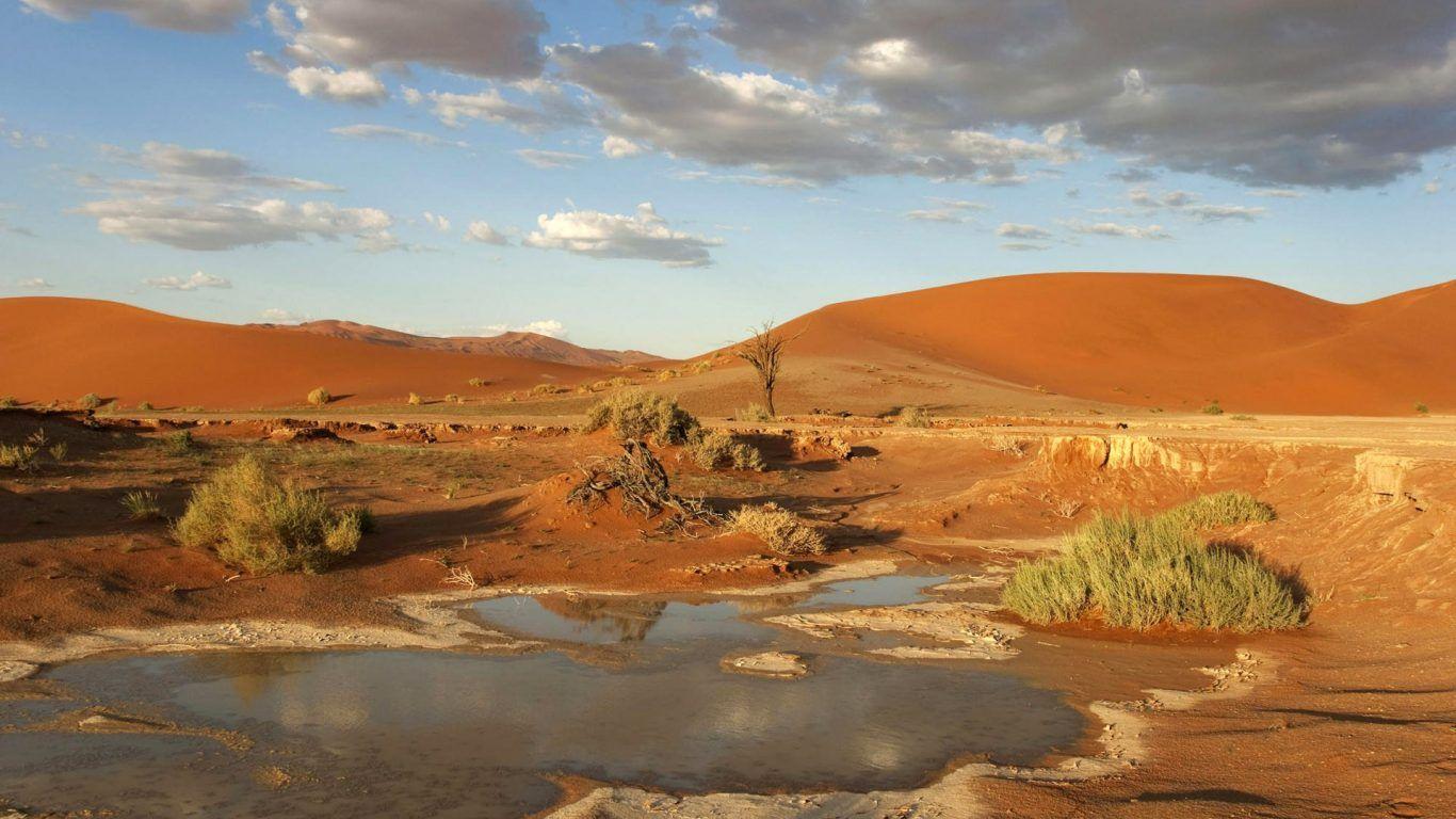 Desert: Meeting Namib Coastal Southern Africa Angola Namibia South.