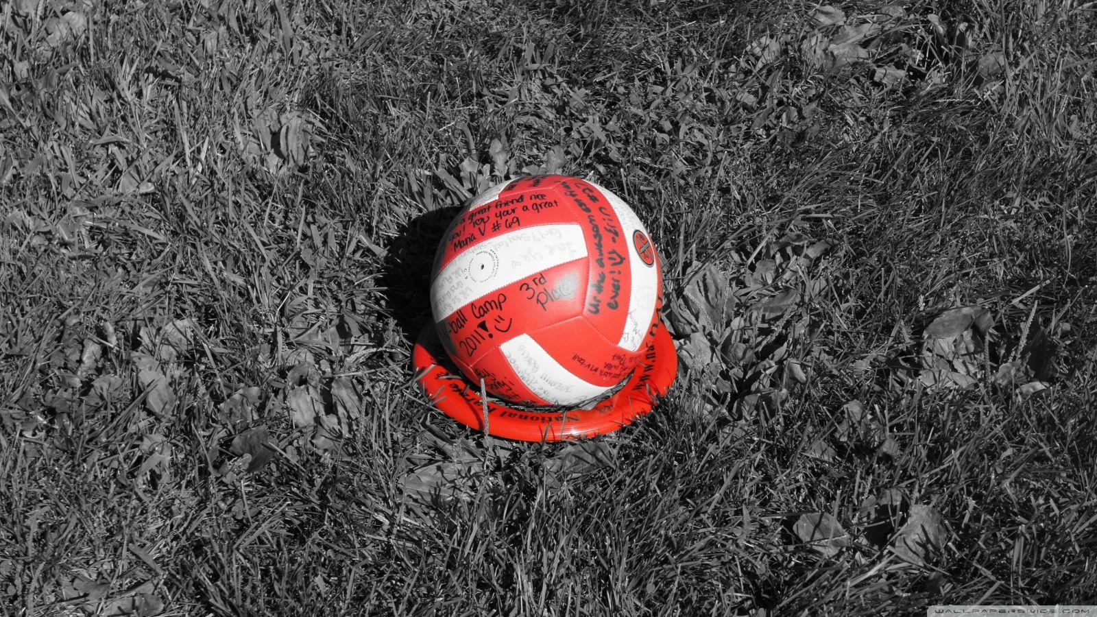 Volleyball Wallpaper Images Browse 5464 Stock Photos  Vectors Free  Download with Trial  Shutterstock