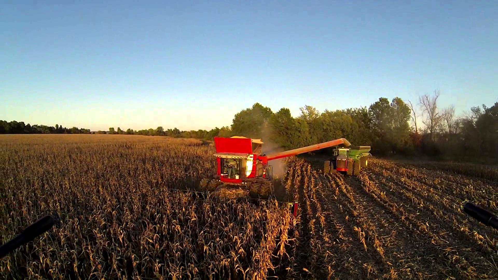 Massey Ferguson 9540 SE Kansas Corn Harvest